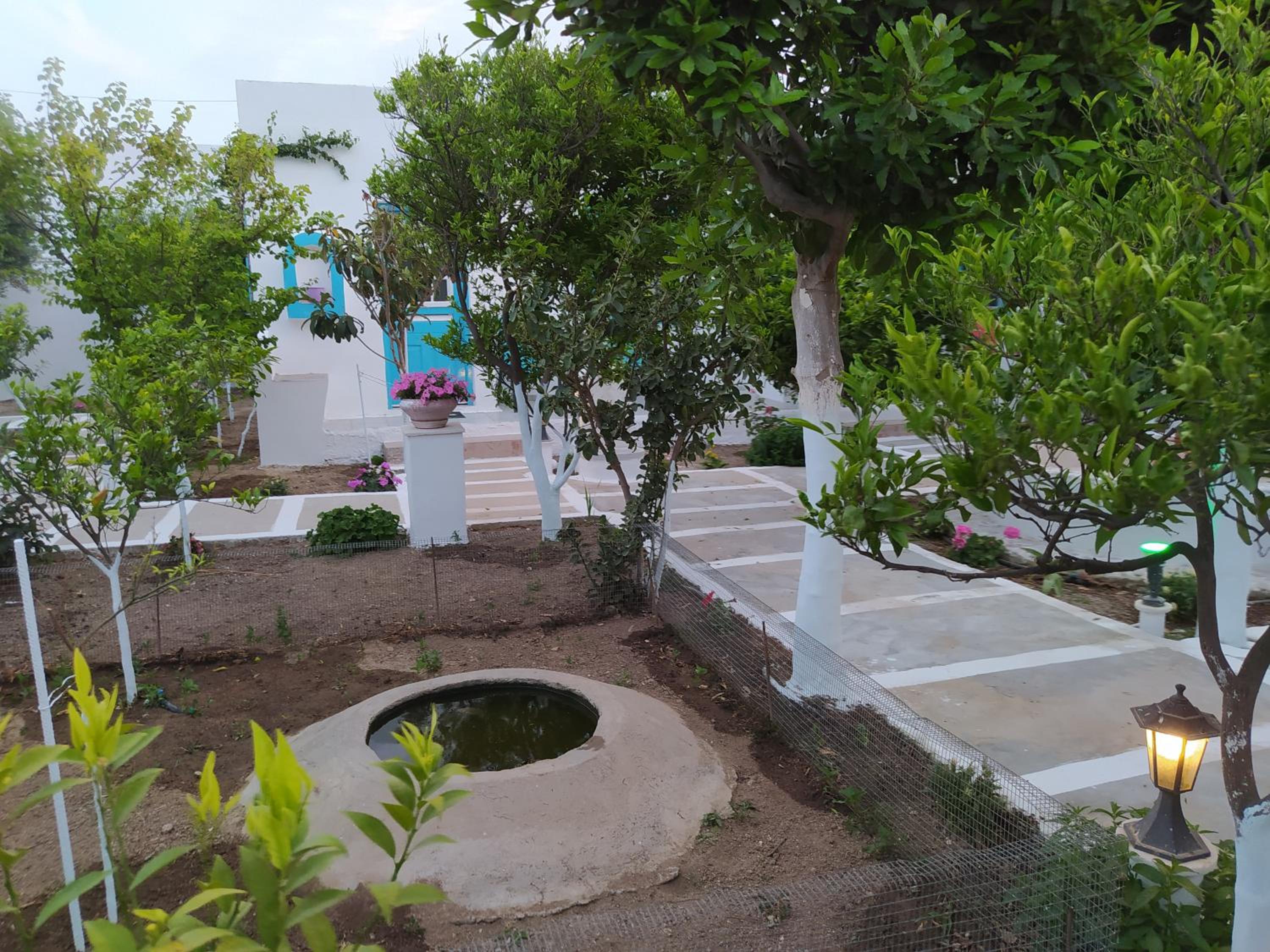 Photo 22