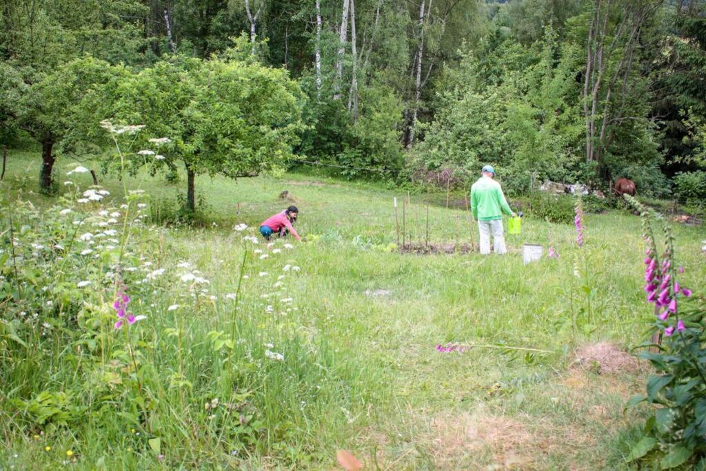 ENJOY Cozy Romance Hills Forest Gardens Views Sauna Whirlpool Bath