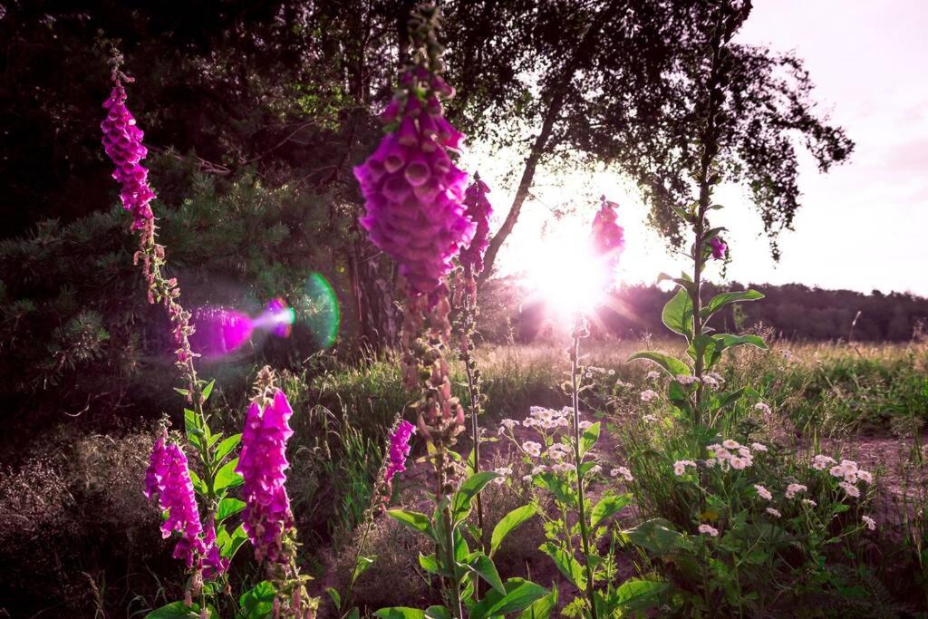 ENJOY Cozy Romance Hills Forest Gardens Views Sauna Whirlpool Bath