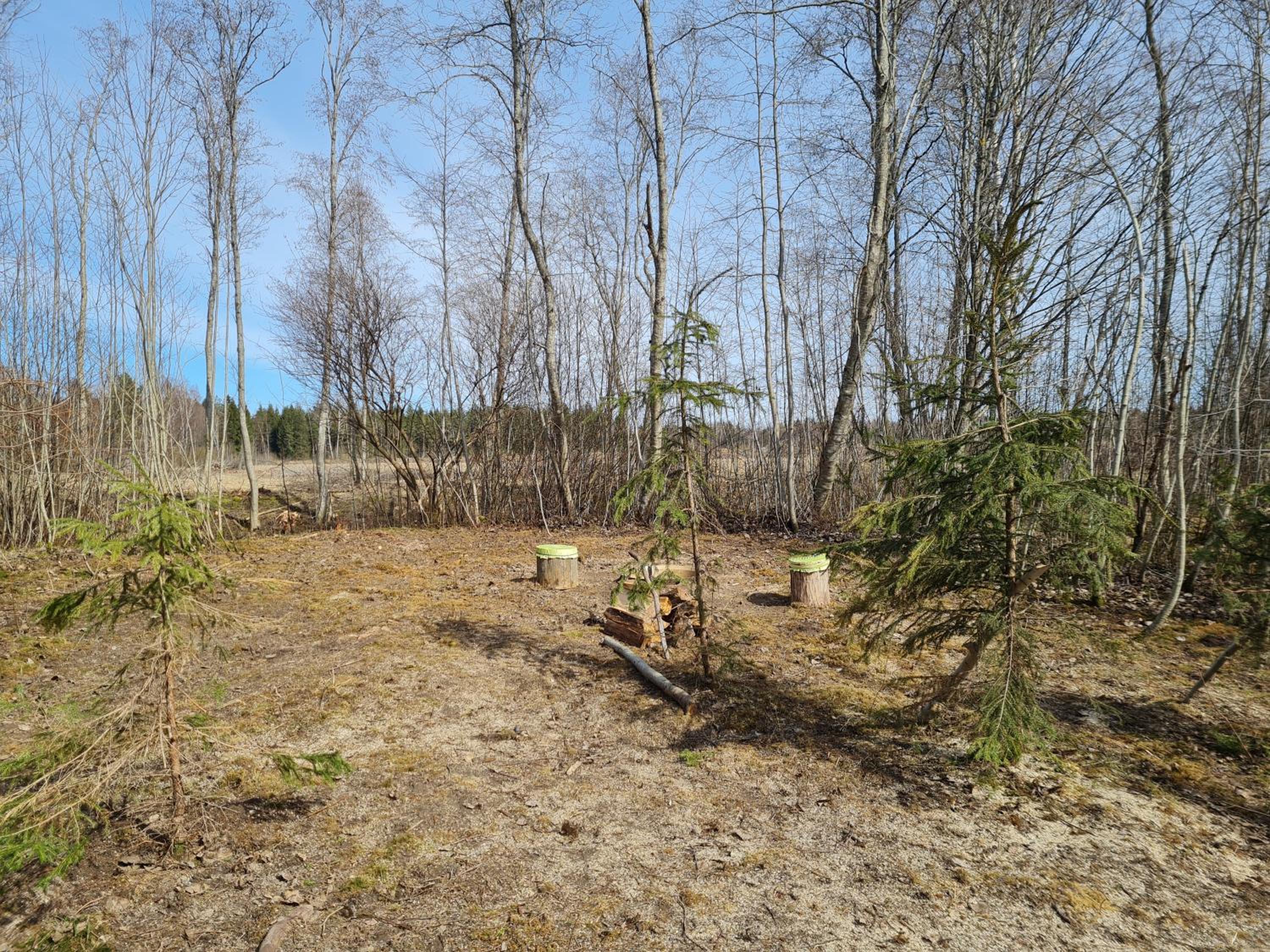 Photo 22