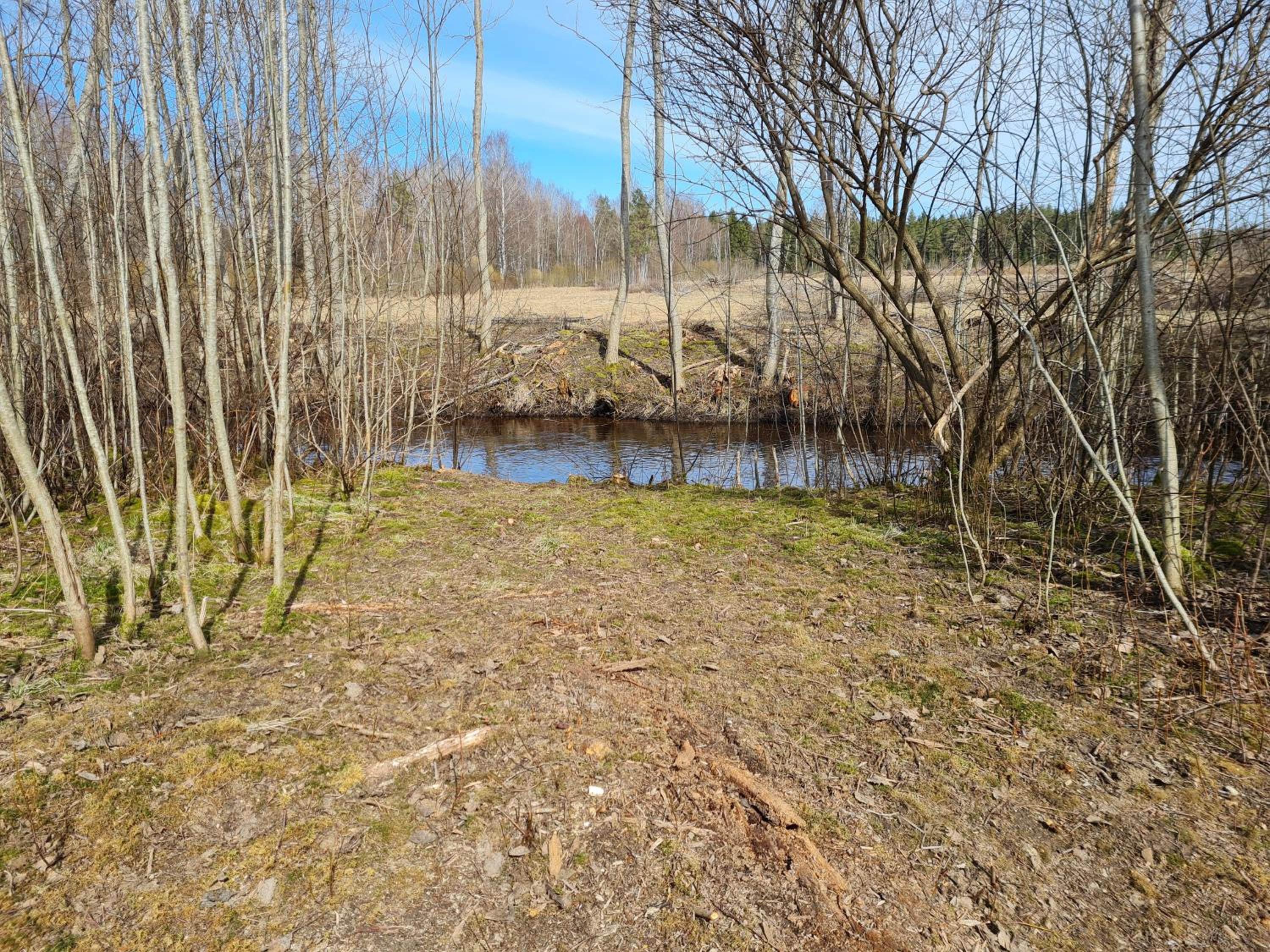 Photo 23