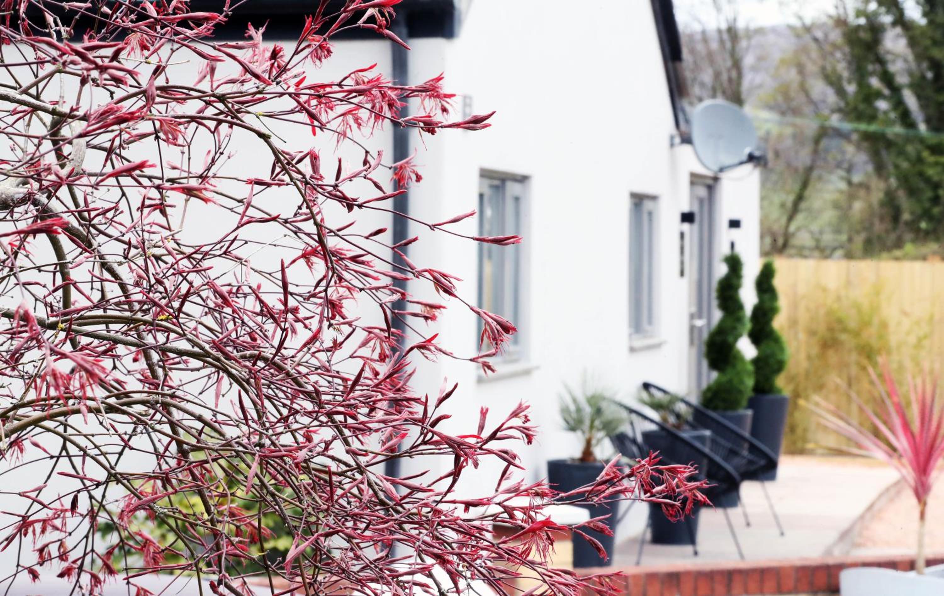 Hotel Pen-Y-Worlod Cottages