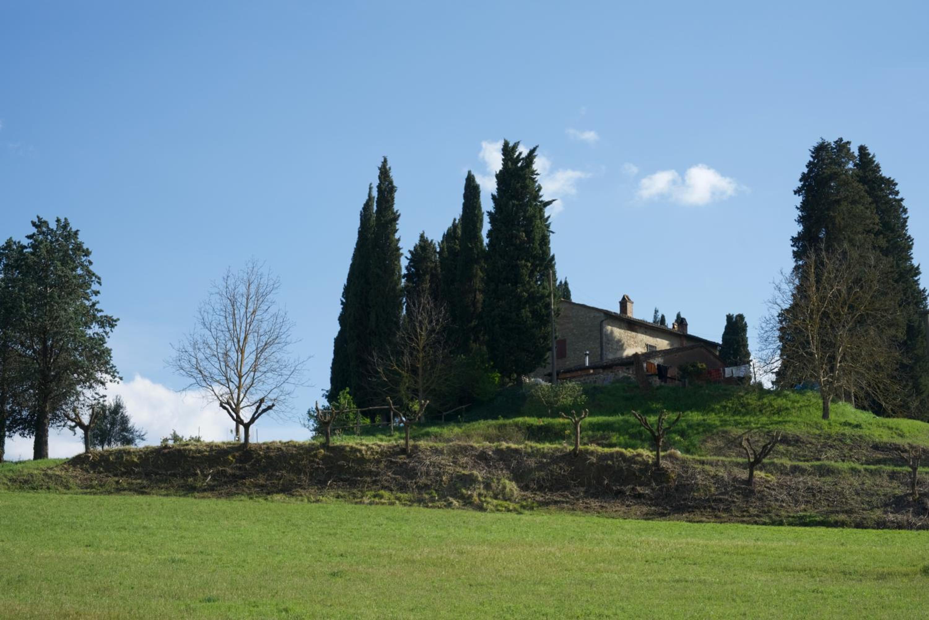 Photo 44