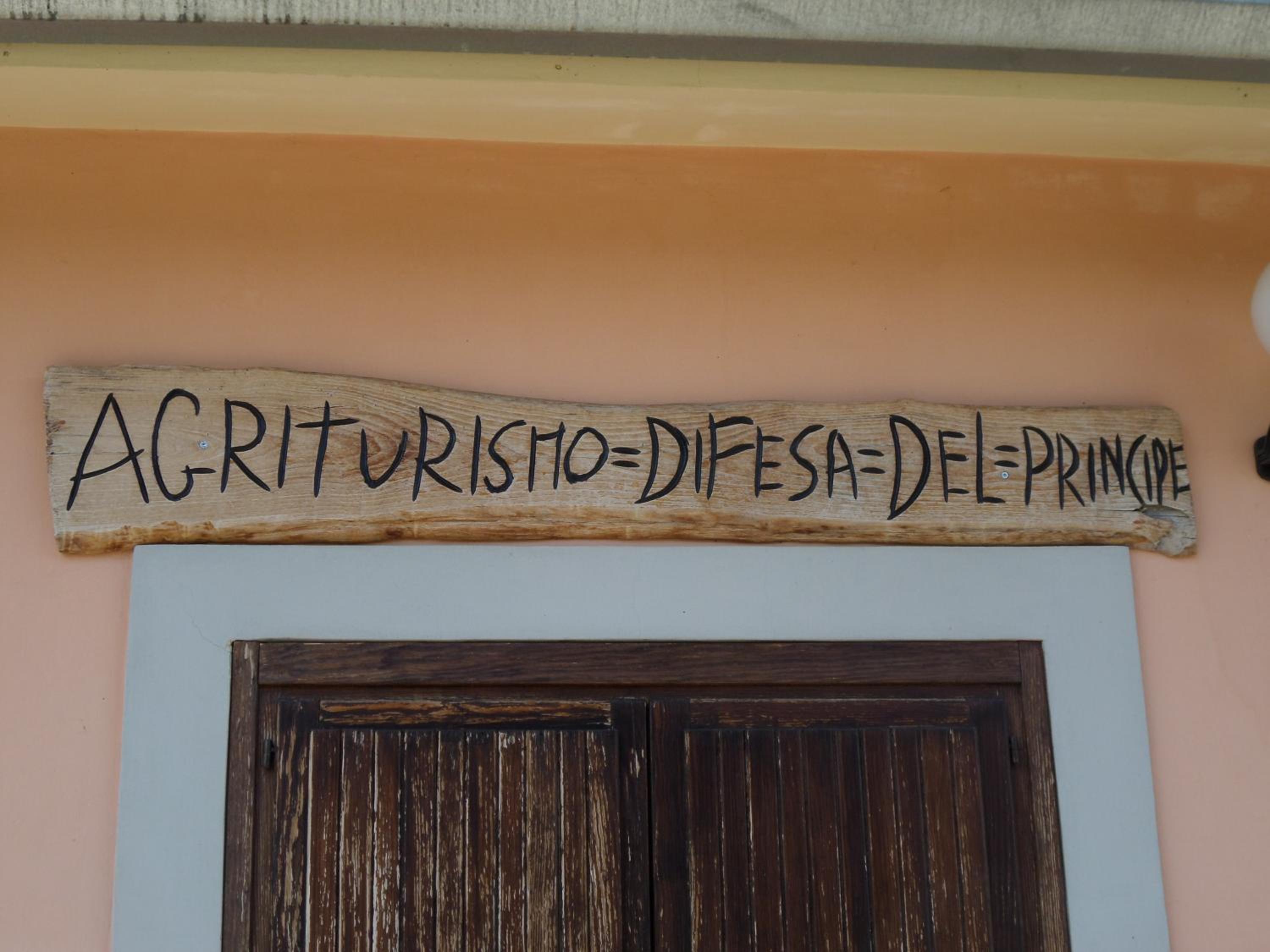 Photo 56