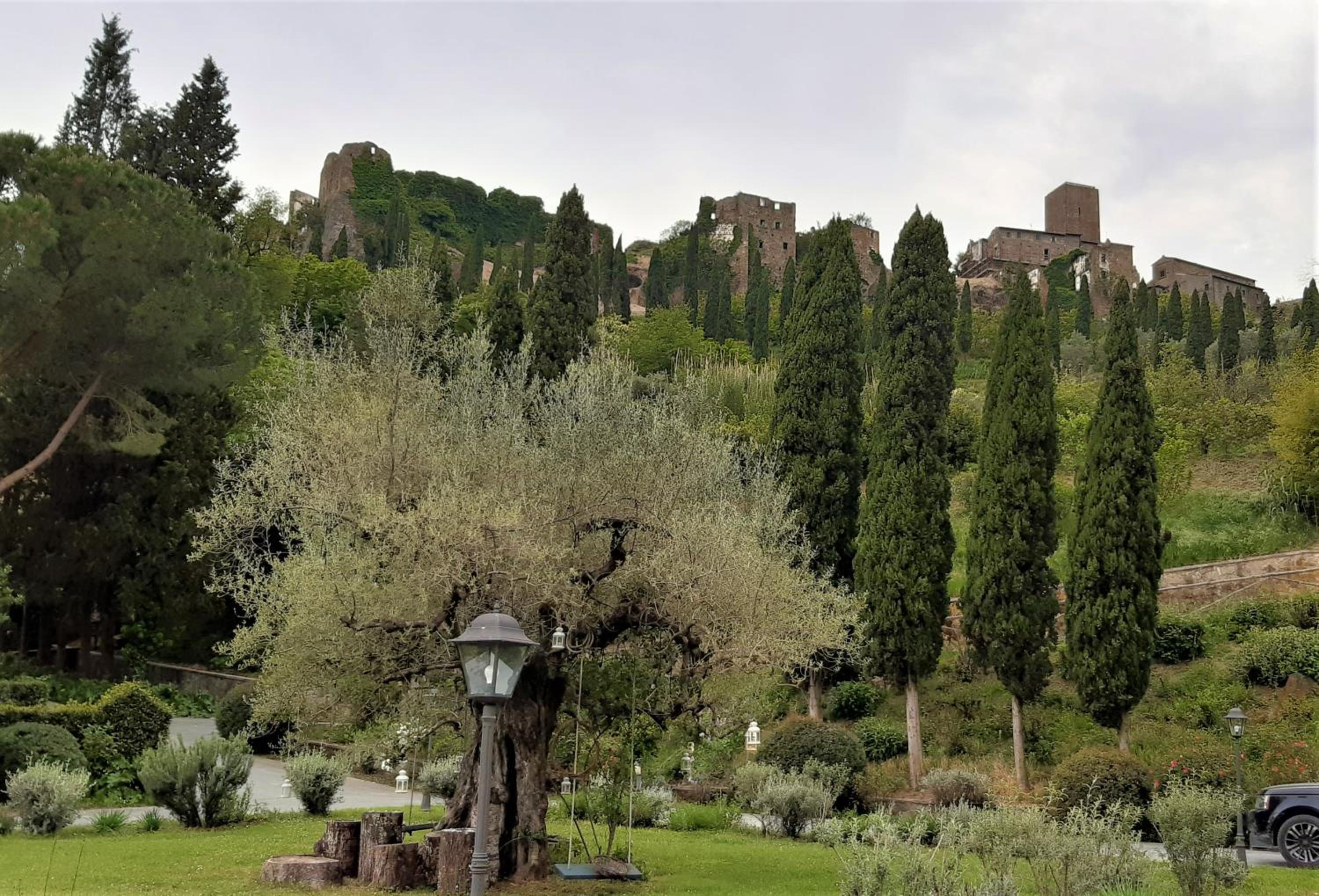 Photo 41