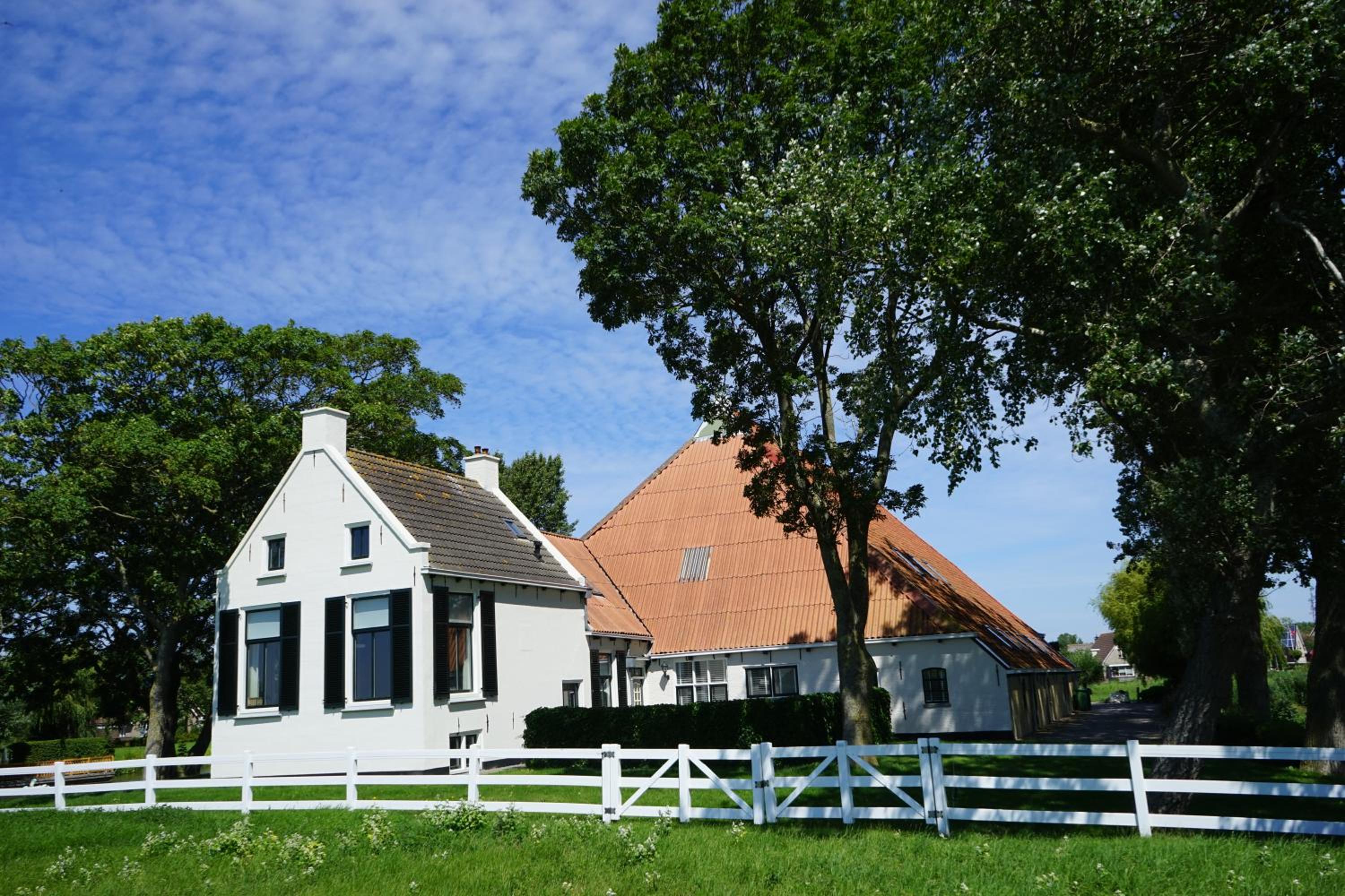 Photo 45