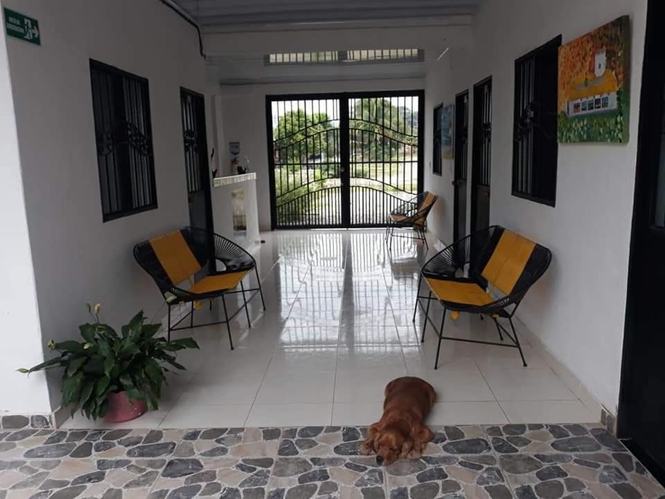Hostal Flor del Ariari