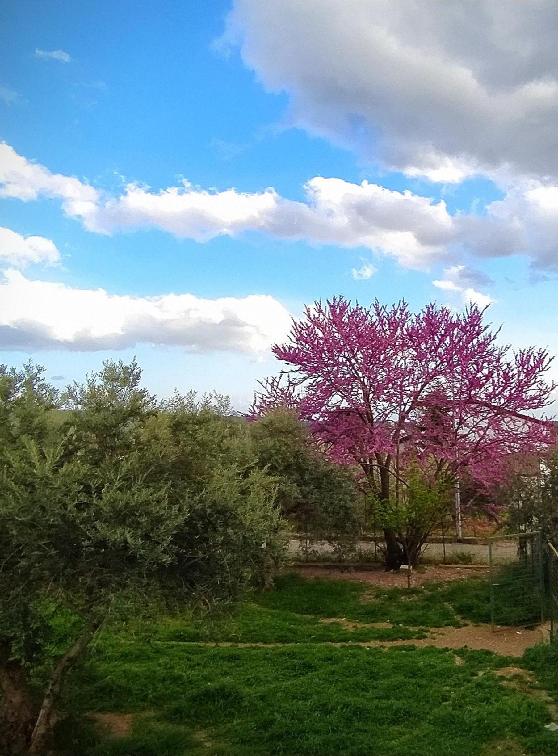 B & B Luoghi Antichi