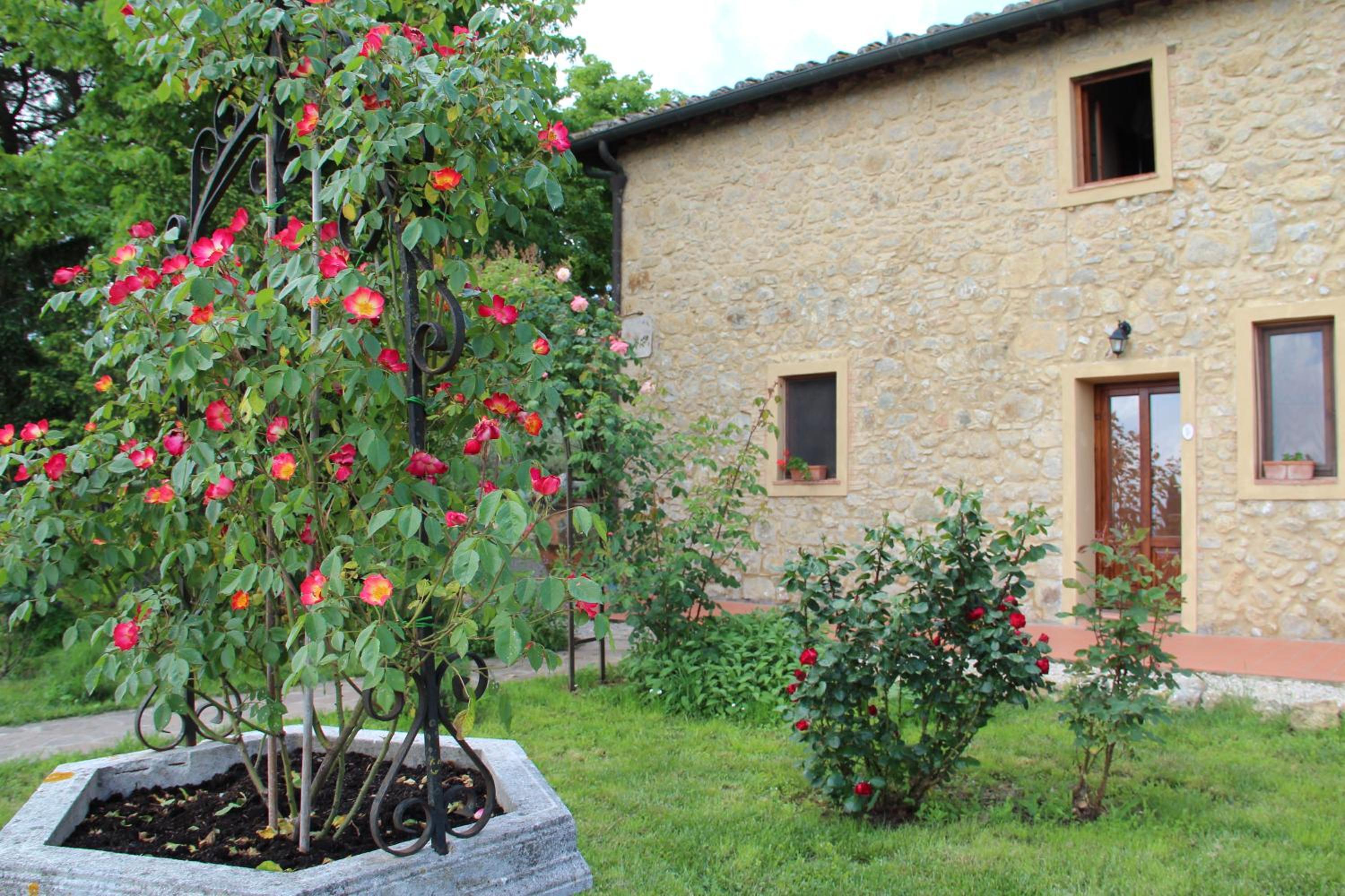 Agriturismo Il Castagnolino
