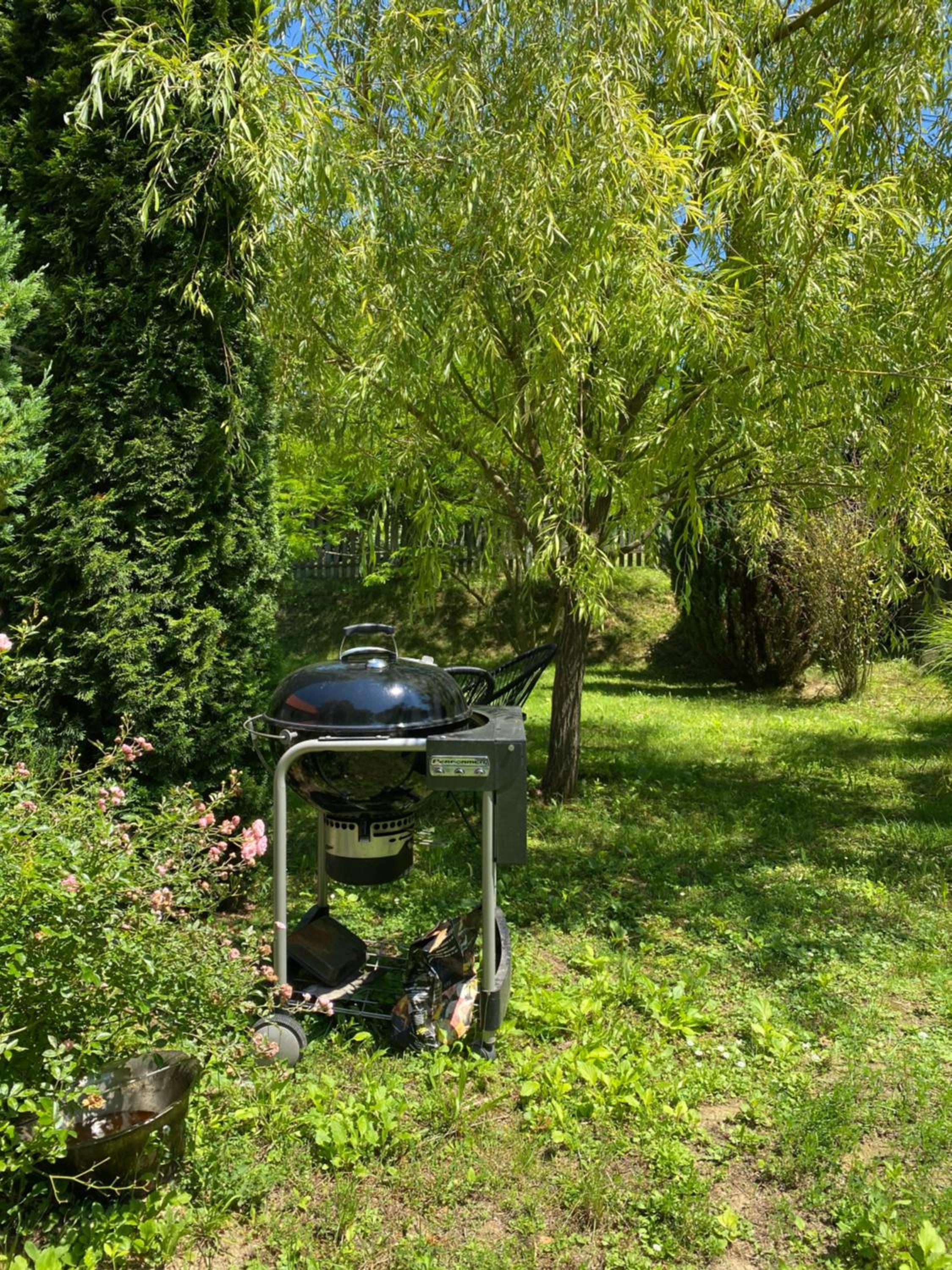 Photo 25