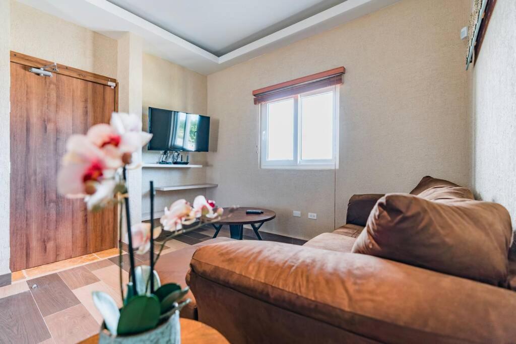 Aruba Solarium Apartment