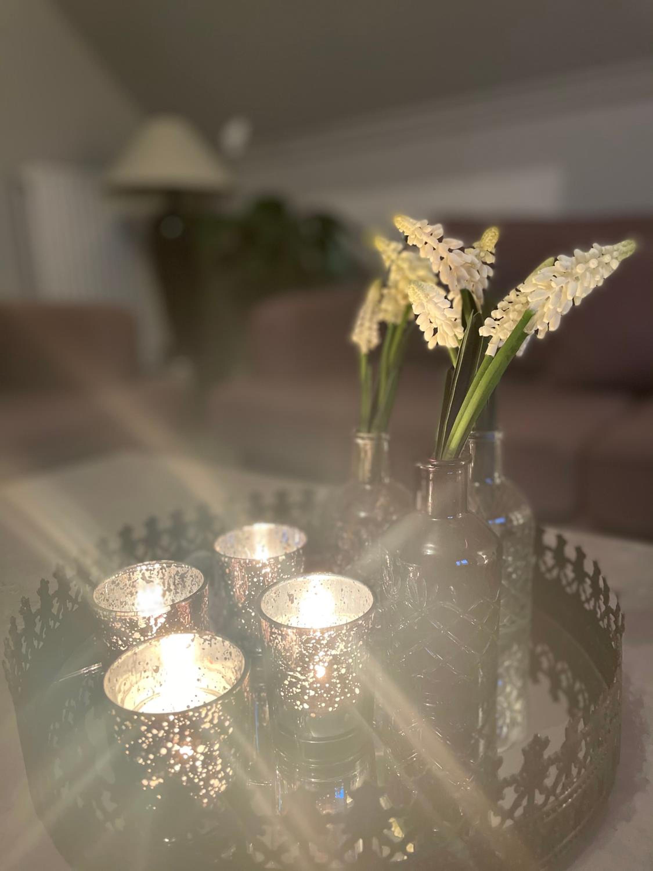 Orchidee, photo 27