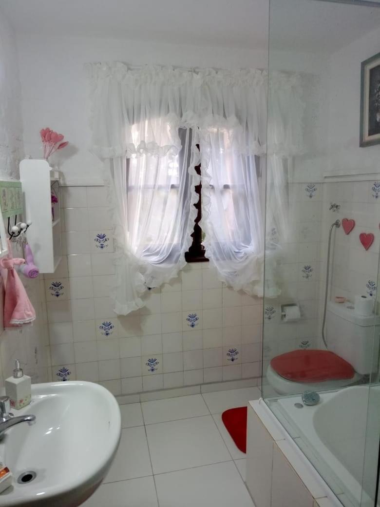 Chalé pinheiro velho