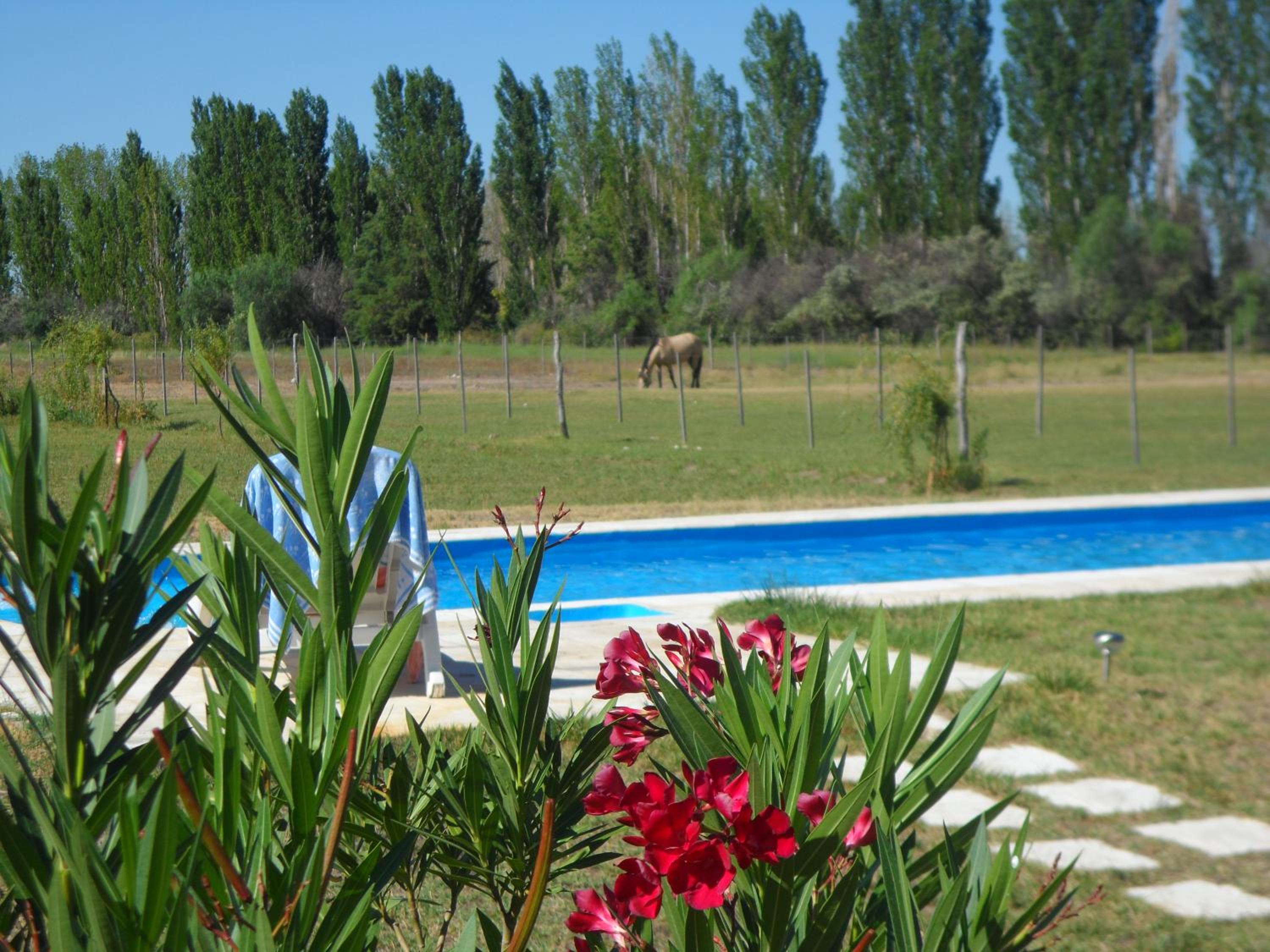 Casa de campo Las olivas