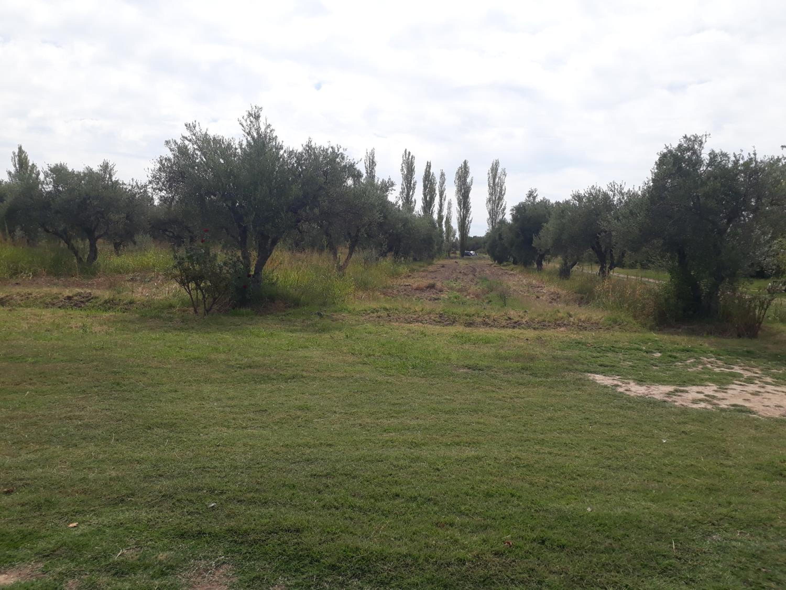 Casa de campo Las olivas