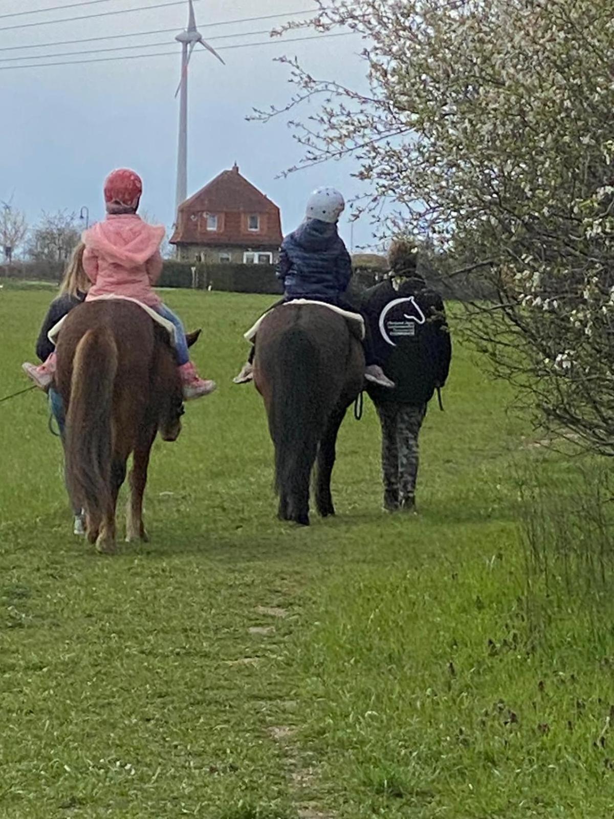 Pferdepension Jäger