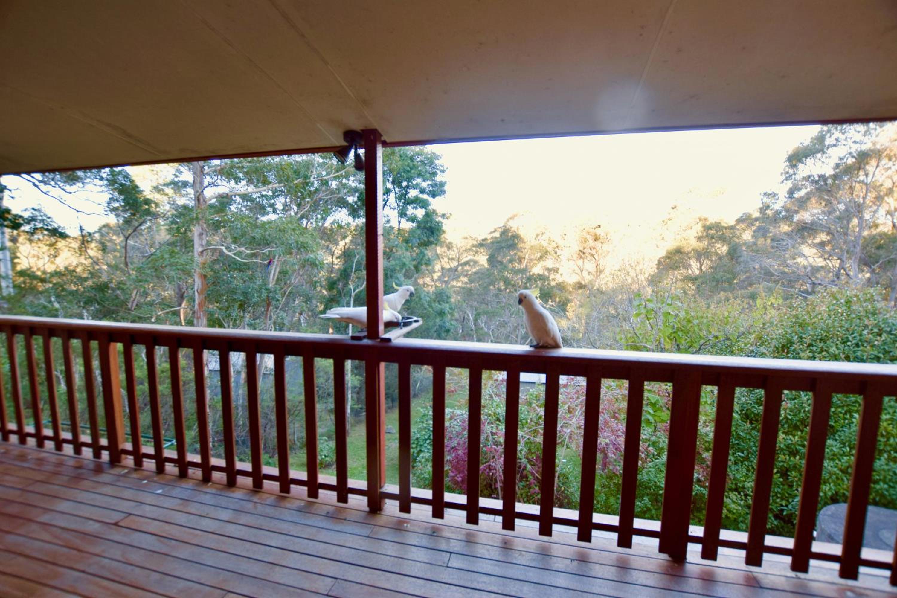 Shiralee's Rest of Katoomba