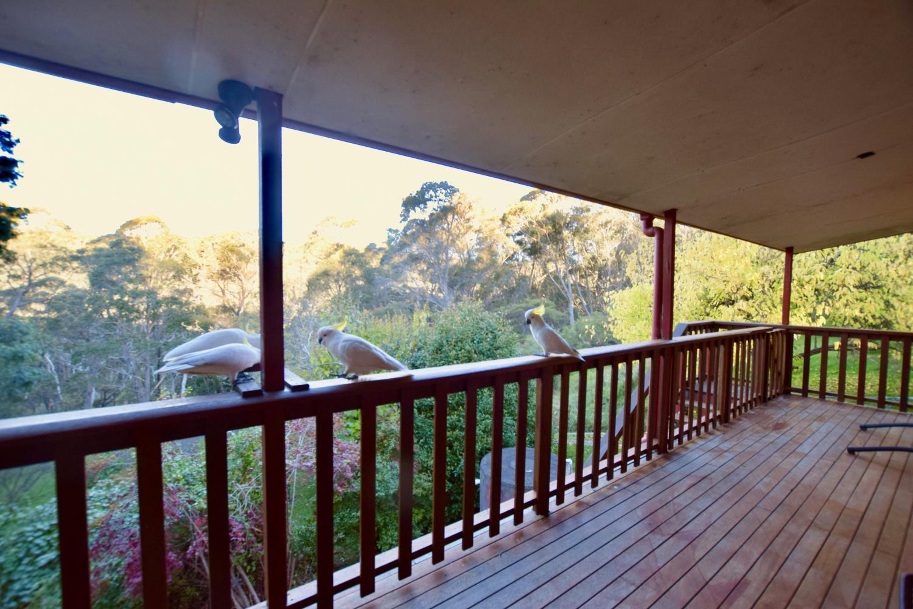 Shiralee's Rest of Katoomba