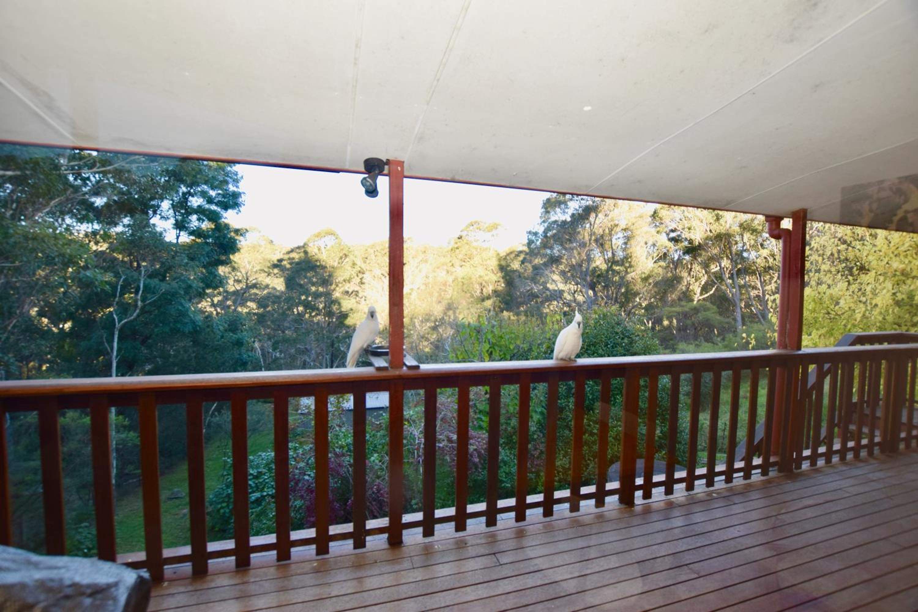 Shiralee's Rest of Katoomba