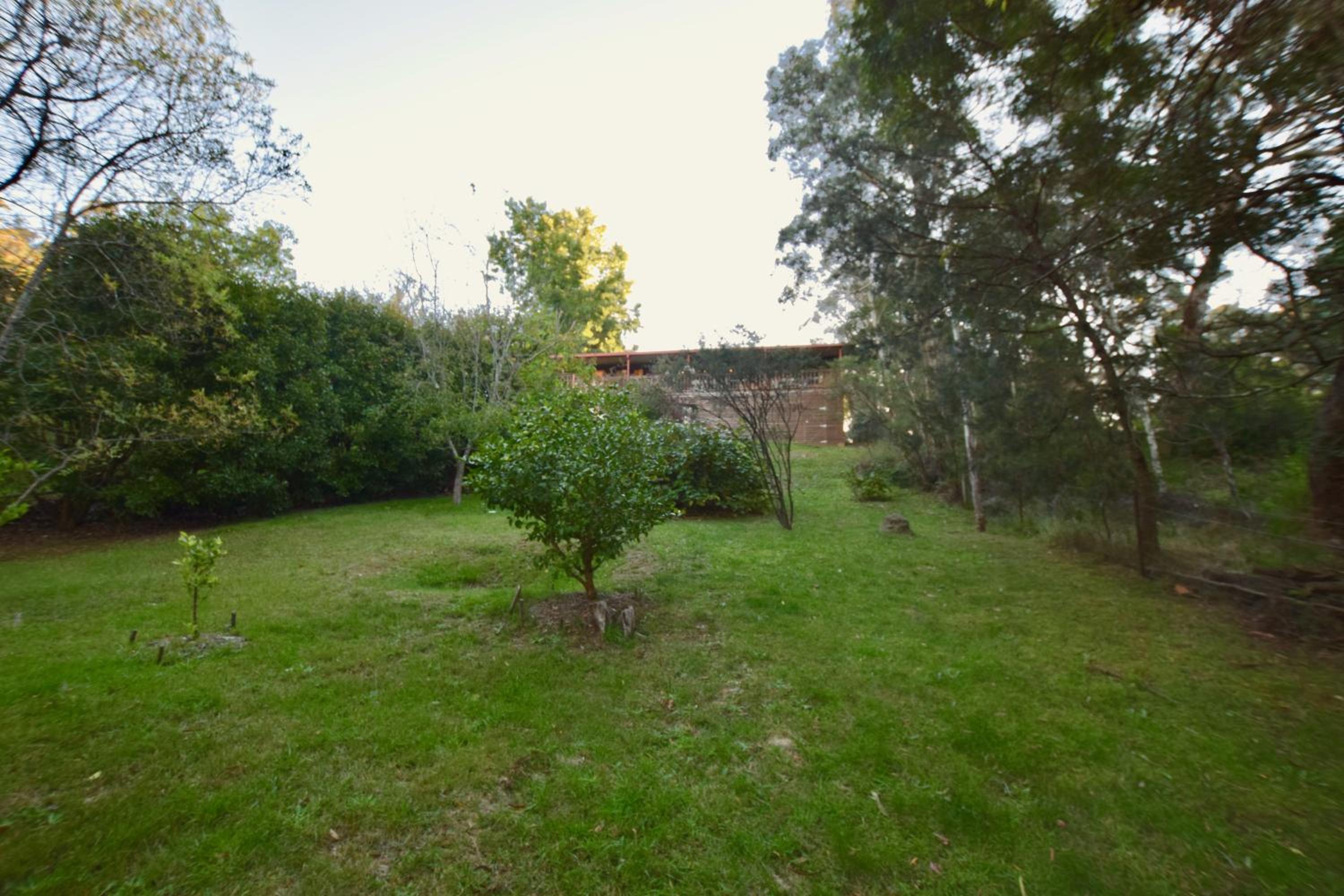 Shiralee's Rest of Katoomba