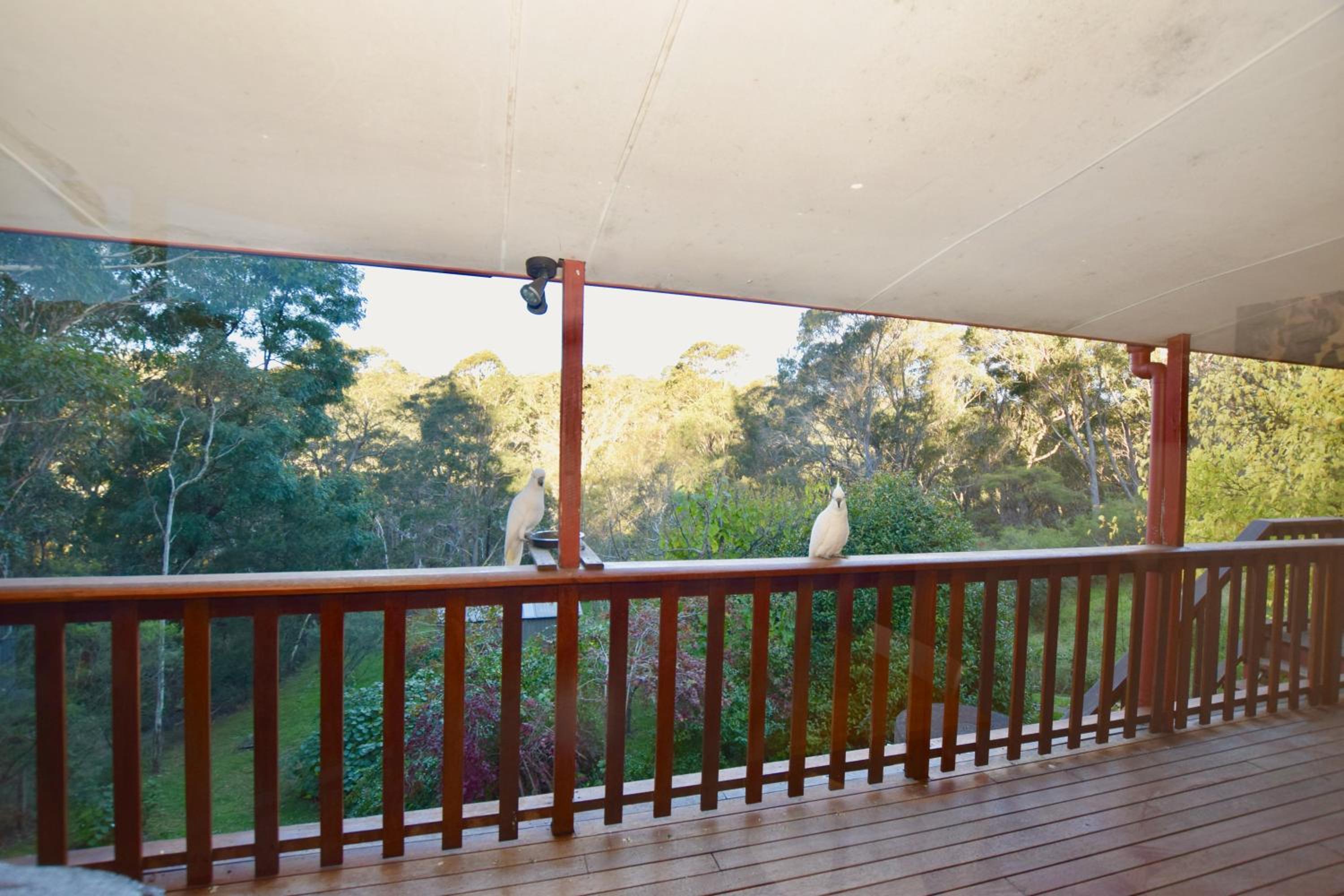 Shiralee's Rest of Katoomba