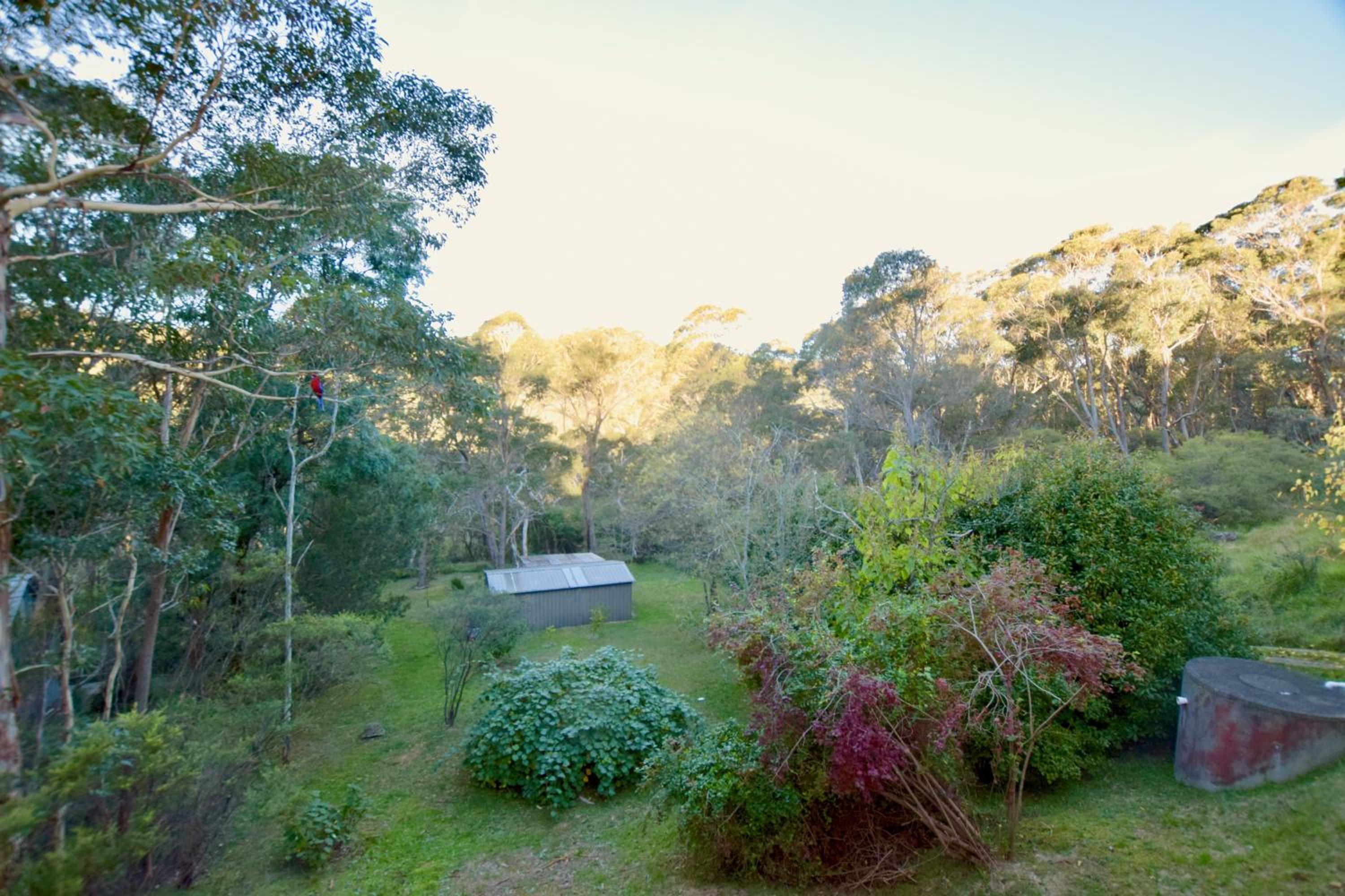 Shiralee's Rest of Katoomba