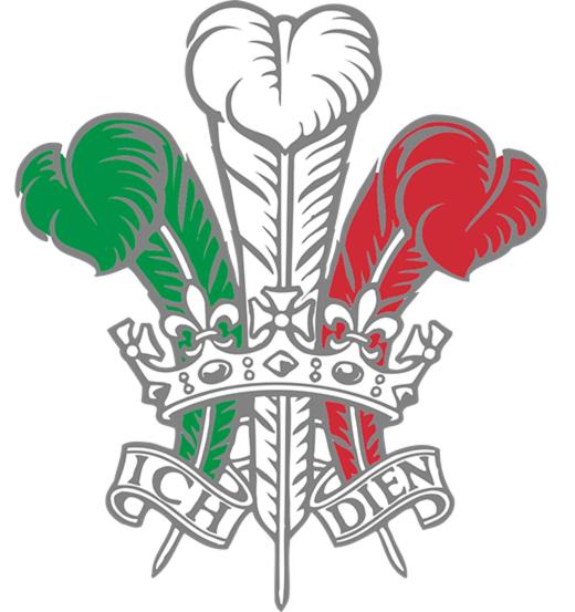 The Plume of Feathers