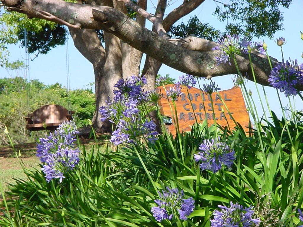 Tropical Coast Retreat - Pet Friendly - Adult only
