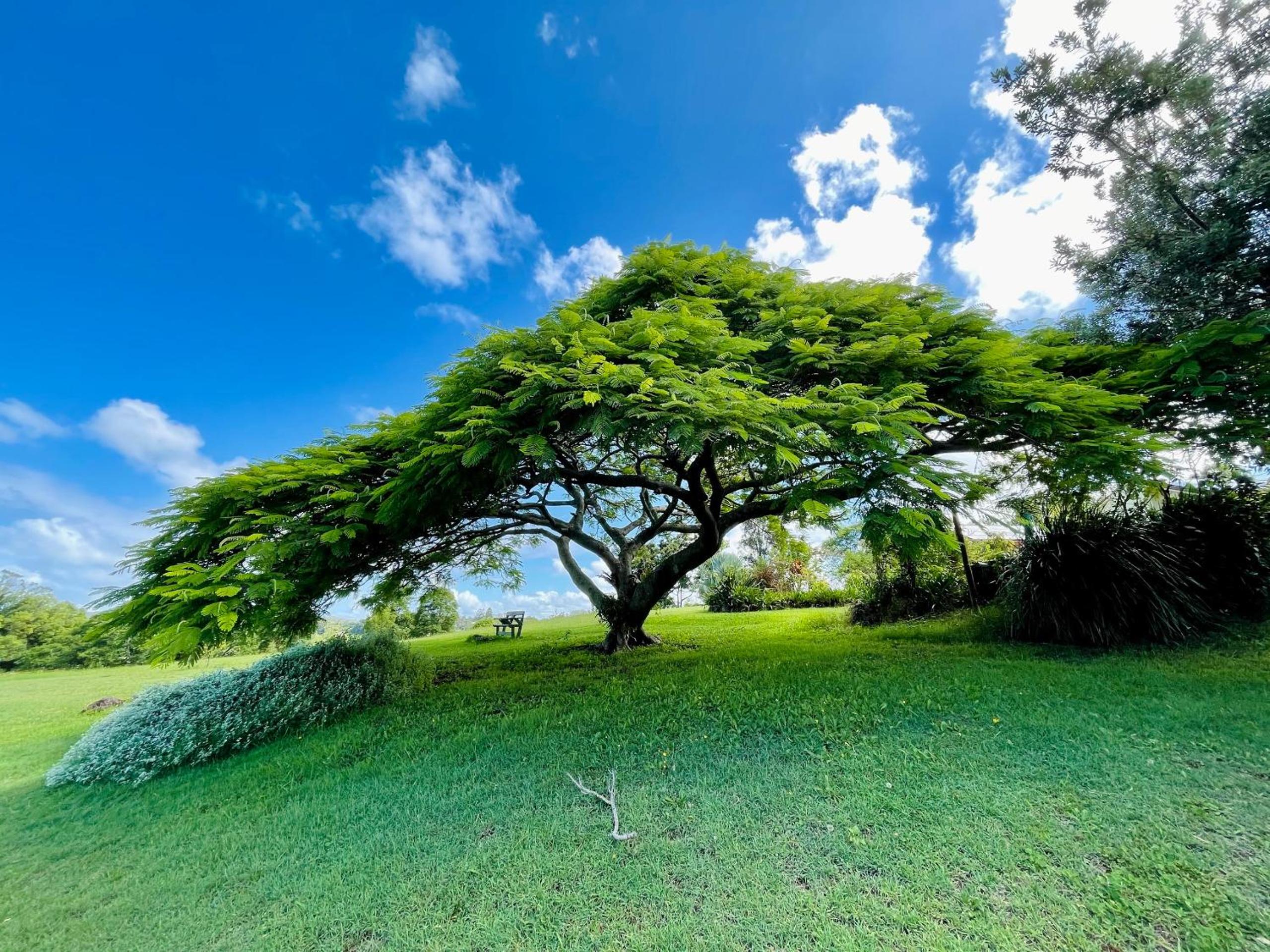 Tropical Coast Retreat - Pet Friendly - Adult only