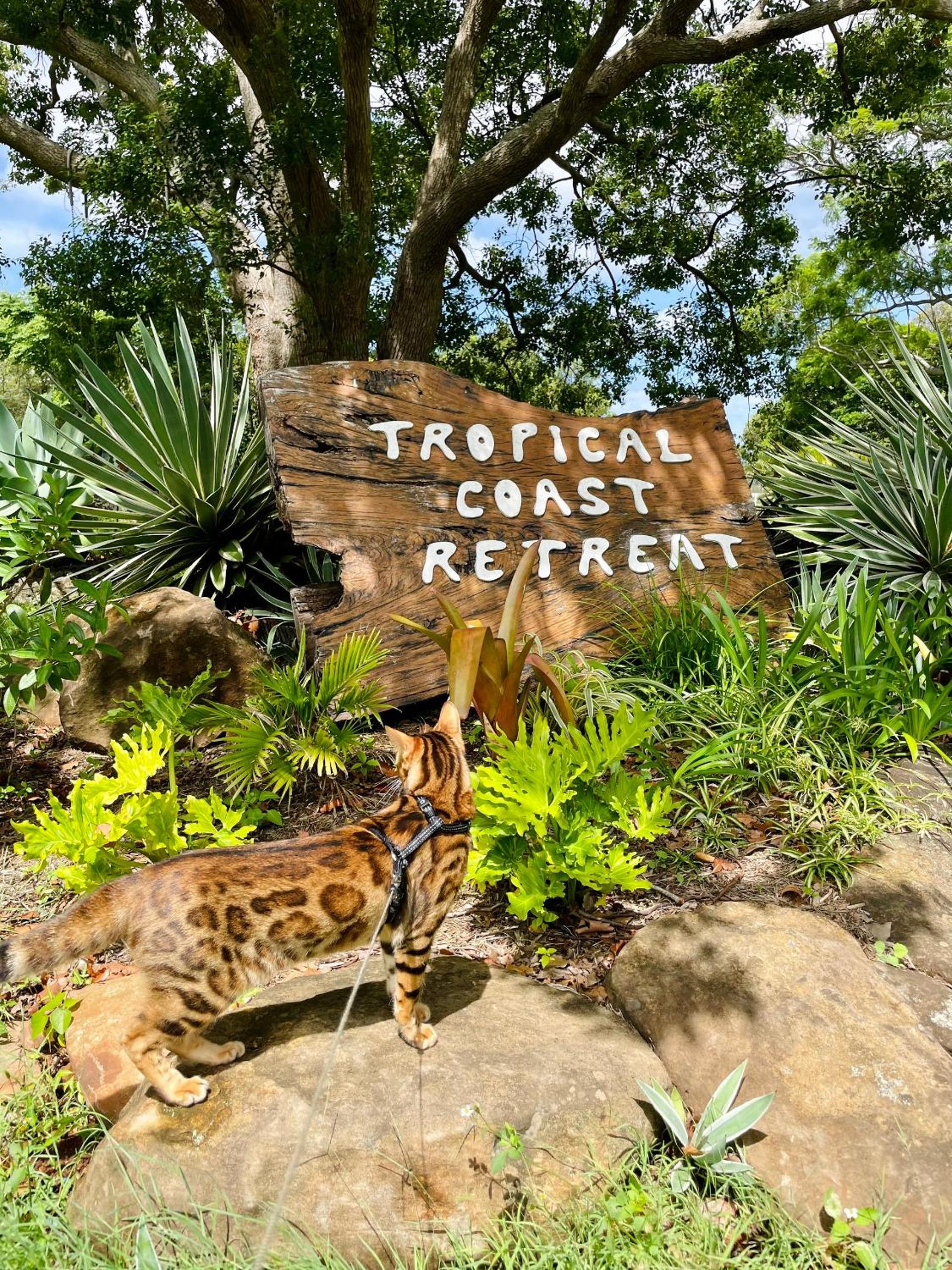 Tropical Coast Retreat - Pet Friendly - Adult only