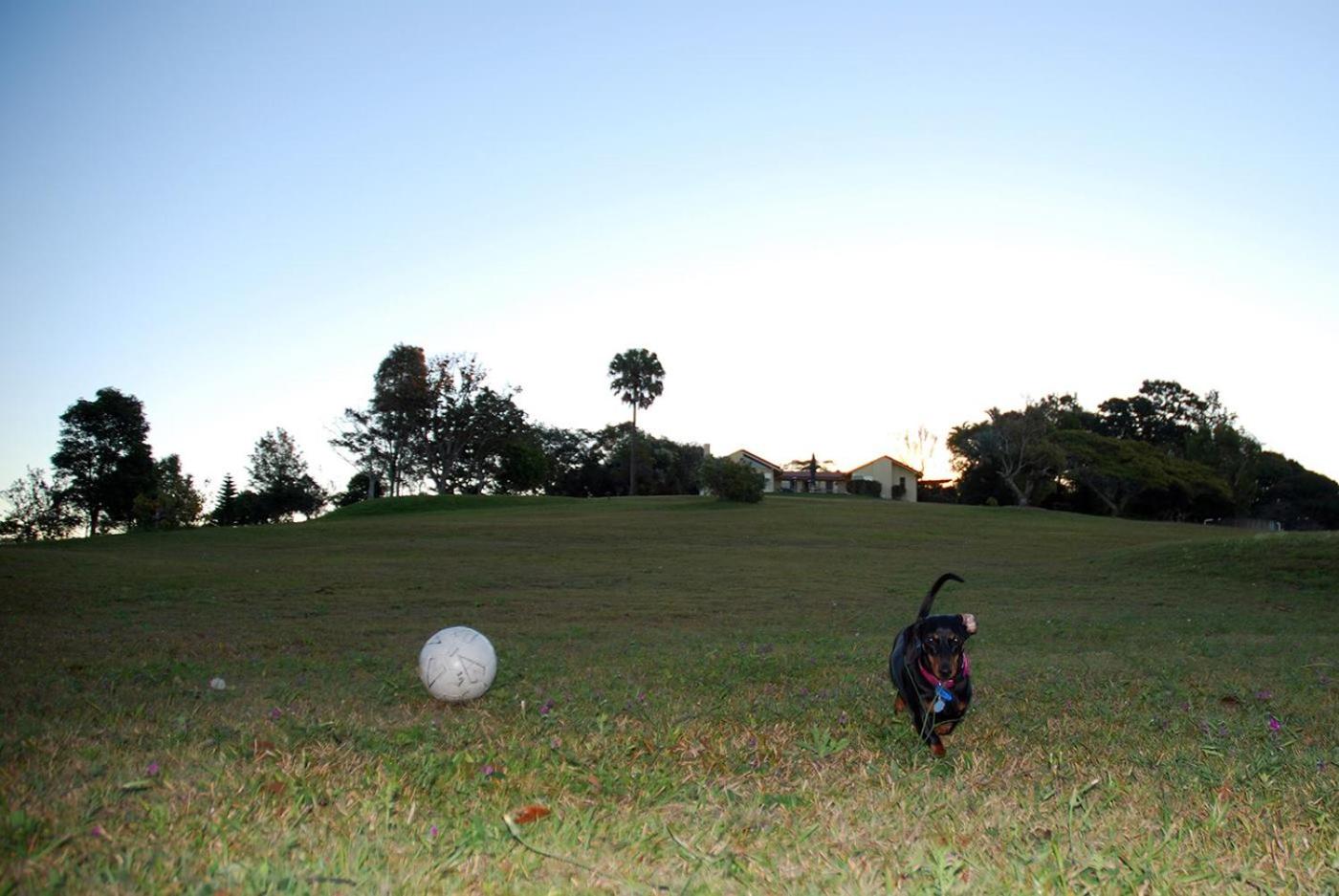 Tropical Coast Retreat - Pet Friendly - Adult only
