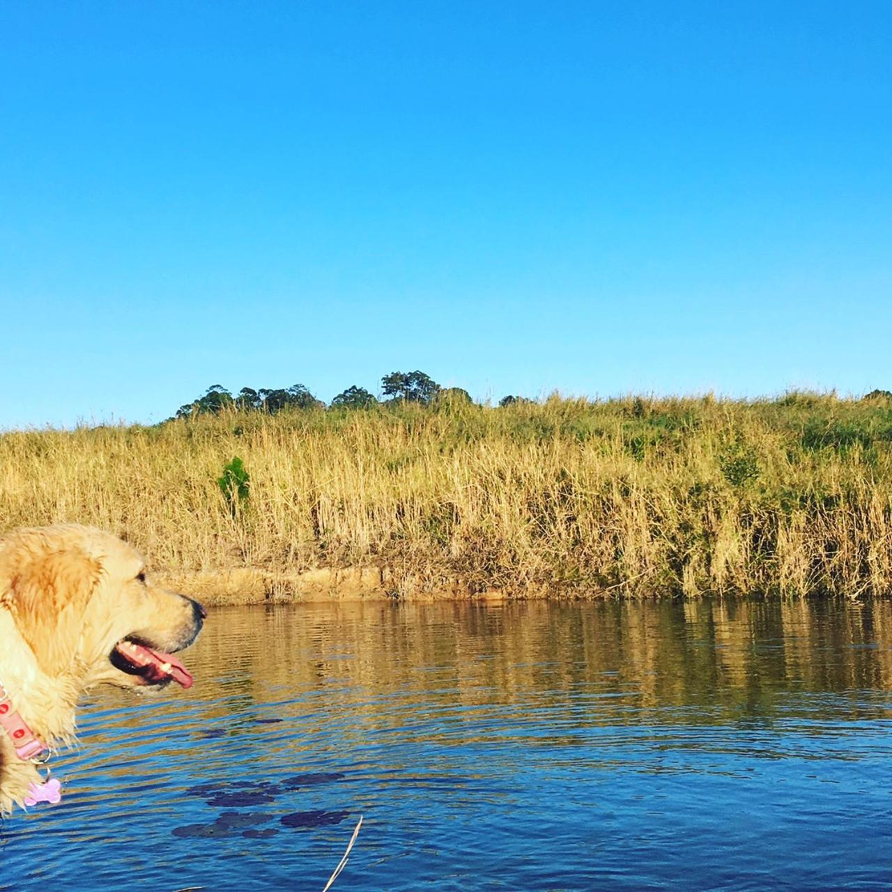 Tropical Coast Retreat - Pet Friendly - Adult only