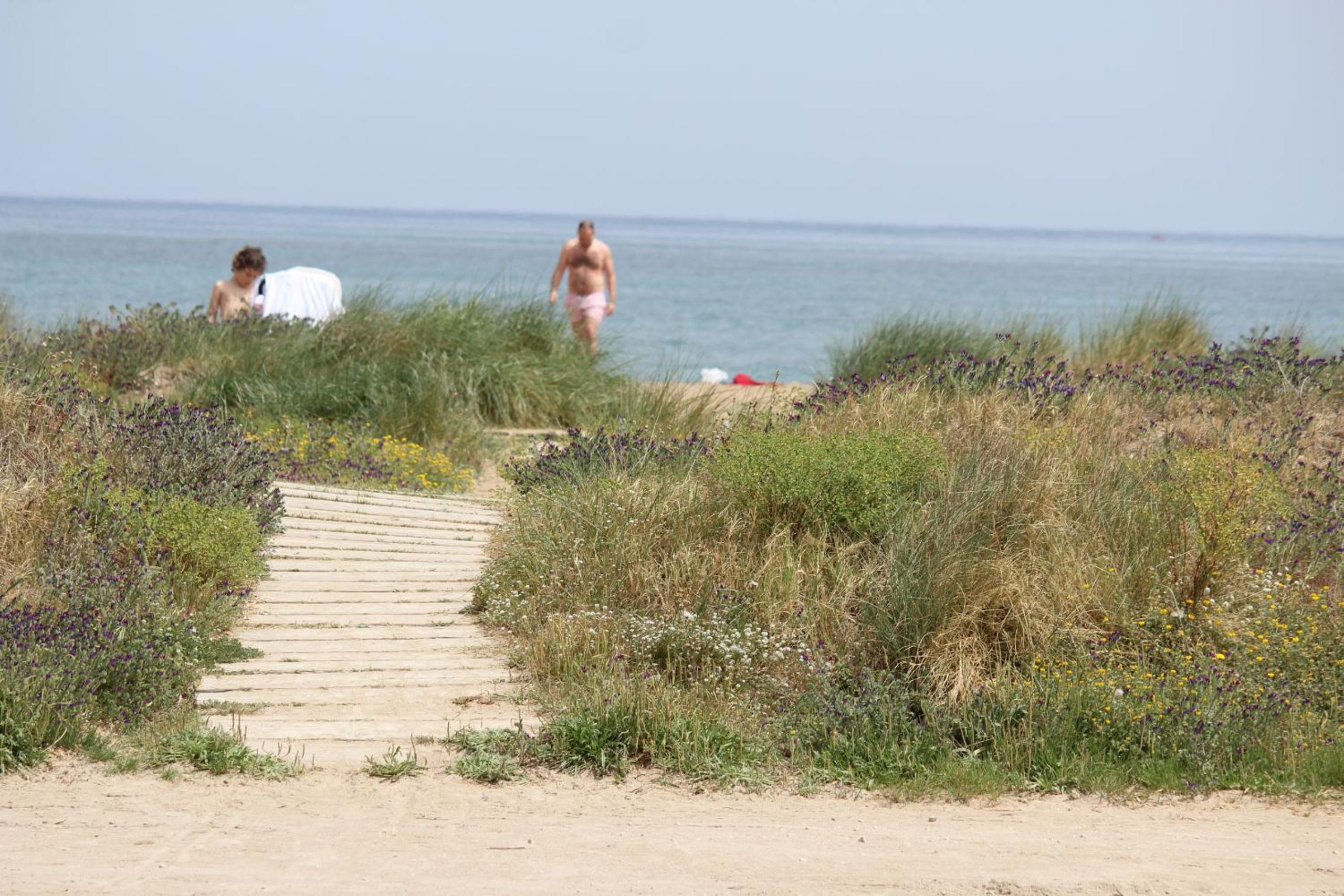 Photo 20