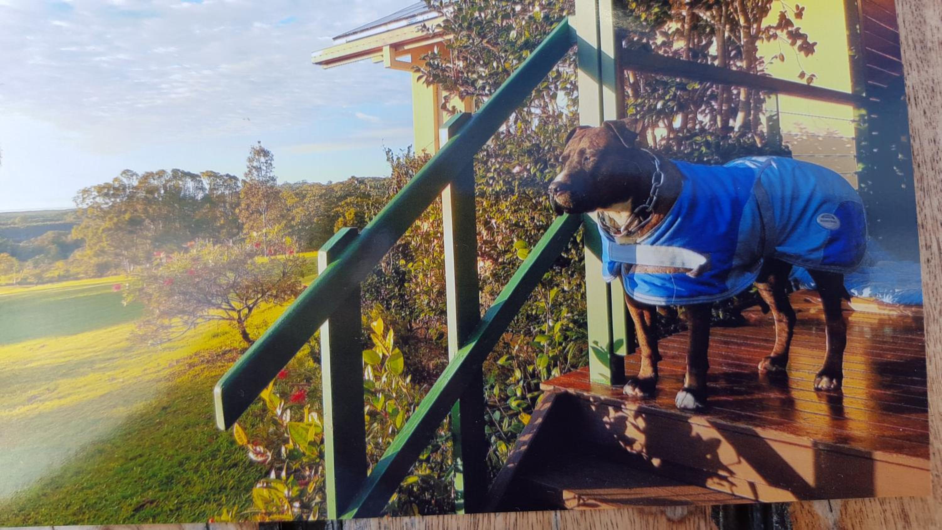 Tropical Coast Retreat - Pet Friendly - Adult only