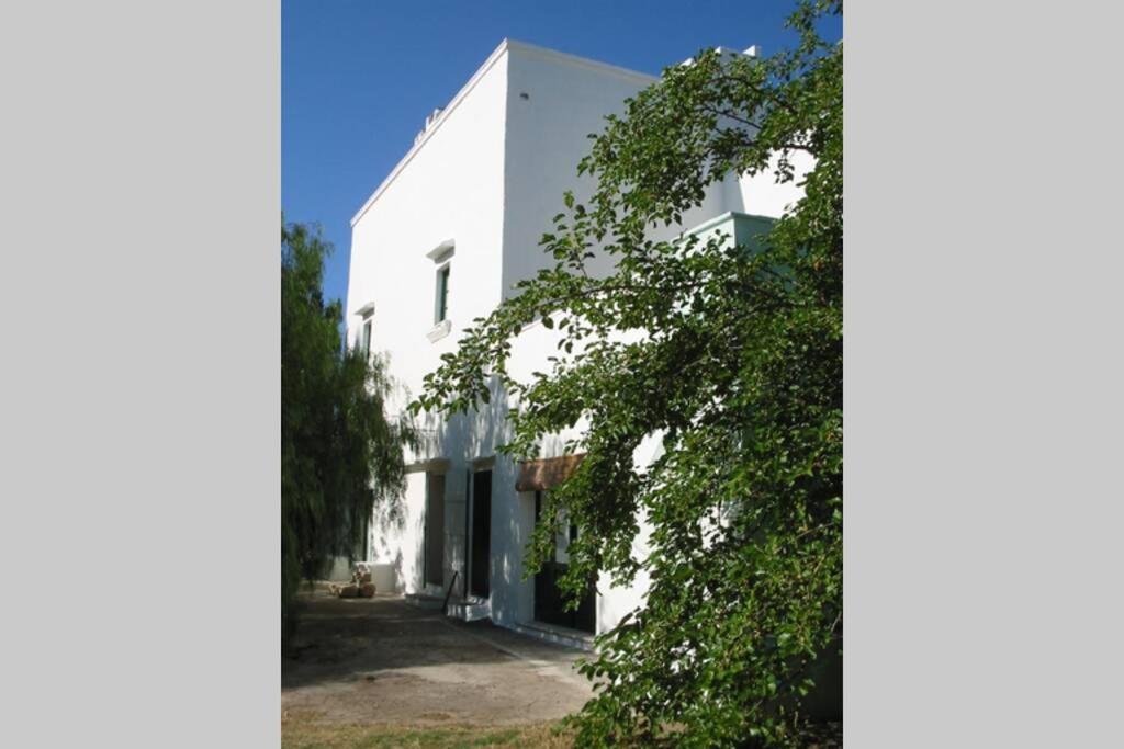 Photo 28