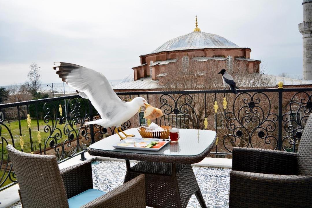 Little sofia hotel