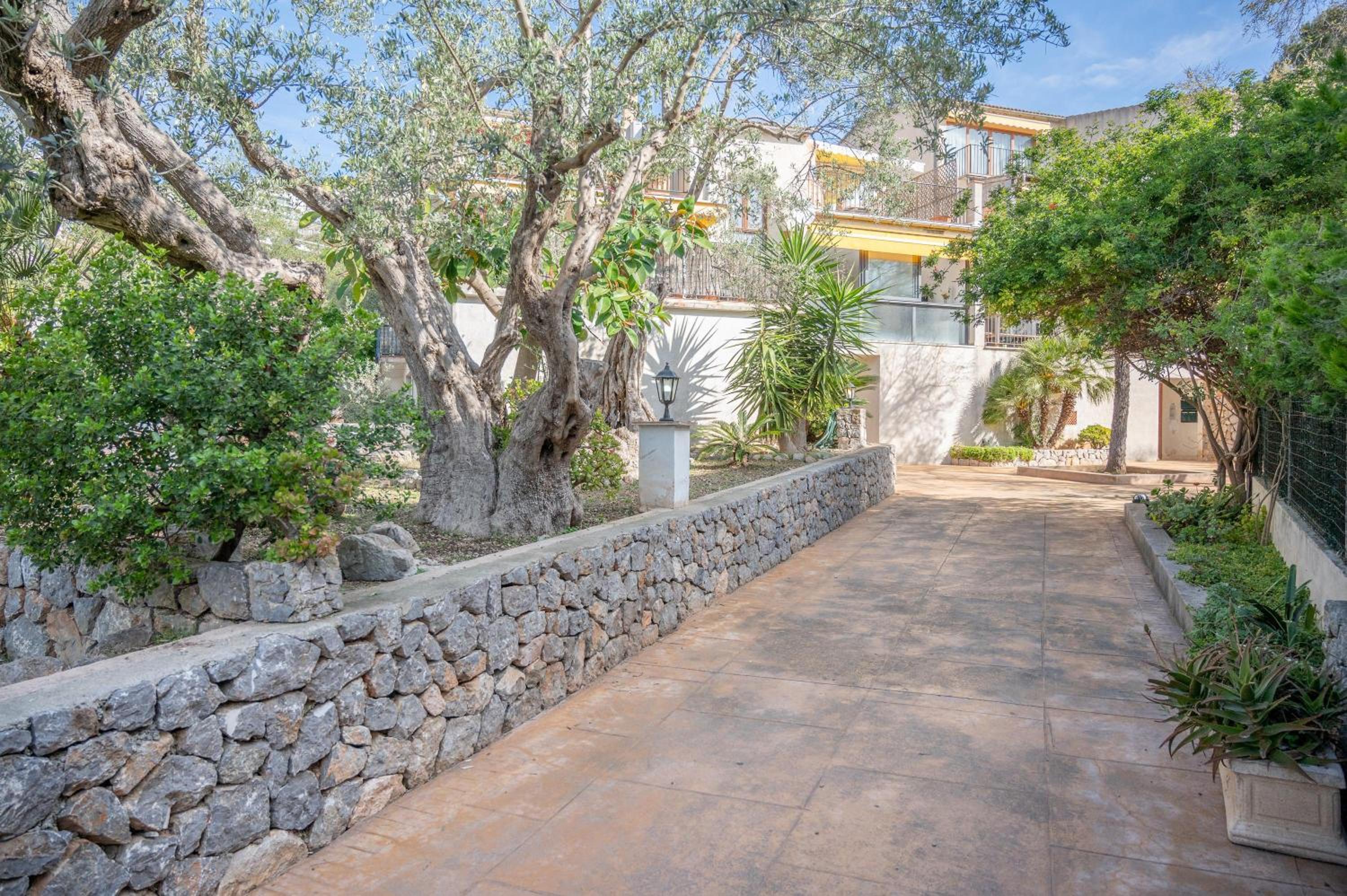 Casa Sunny view 4