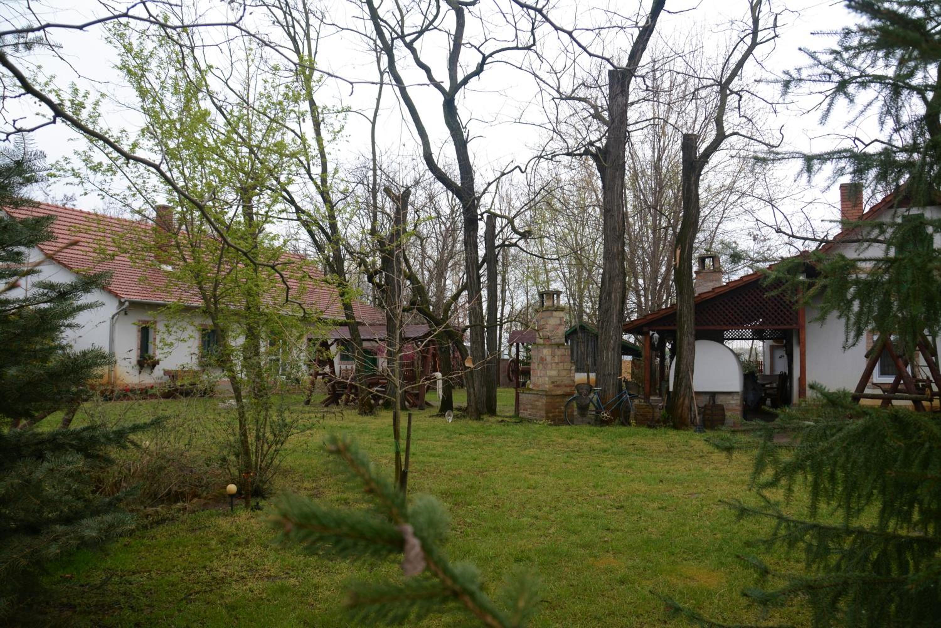 Photo 63