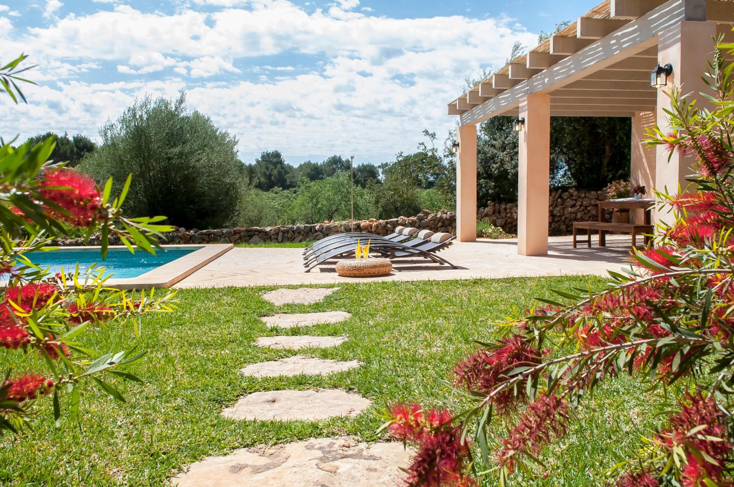 Finca Salas Nou view 5
