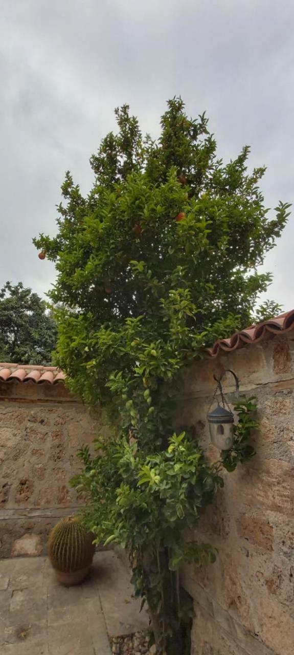 VILLA CASTLE INN