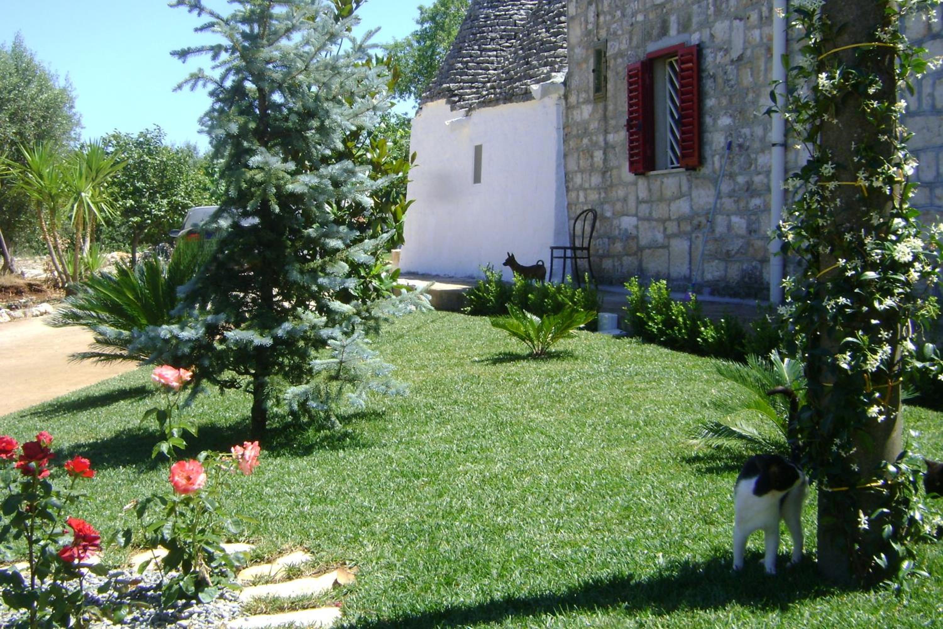 B&B Tenuta Ranieri