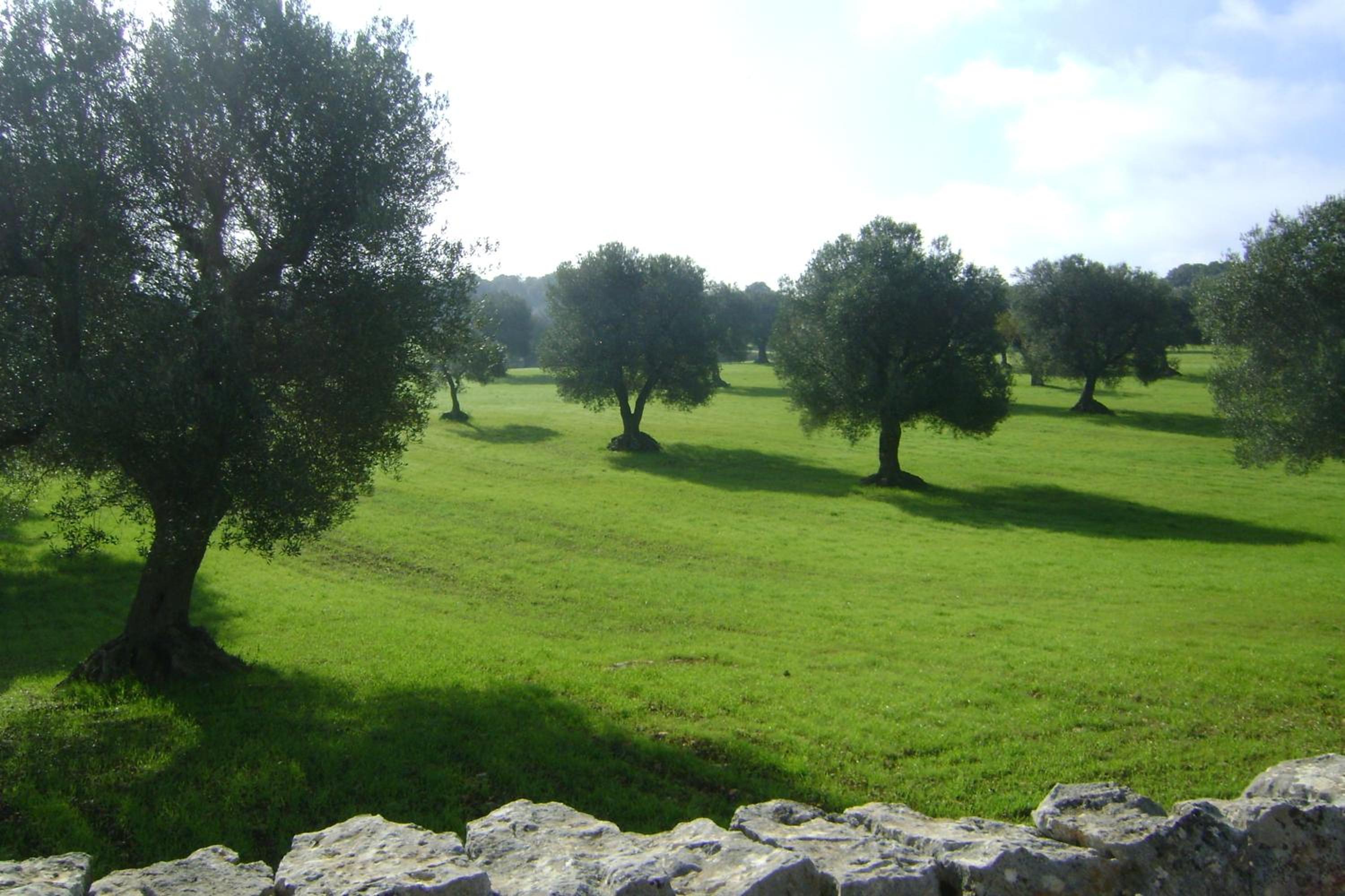 B&B Tenuta Ranieri