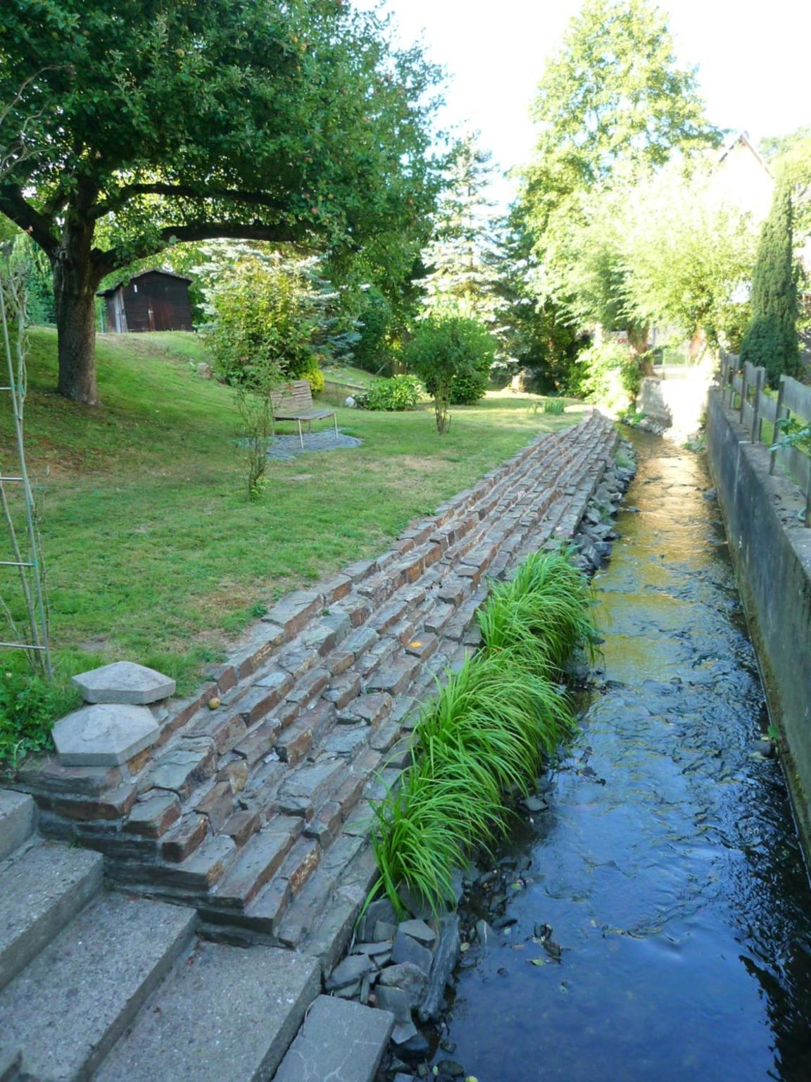 Photo 51
