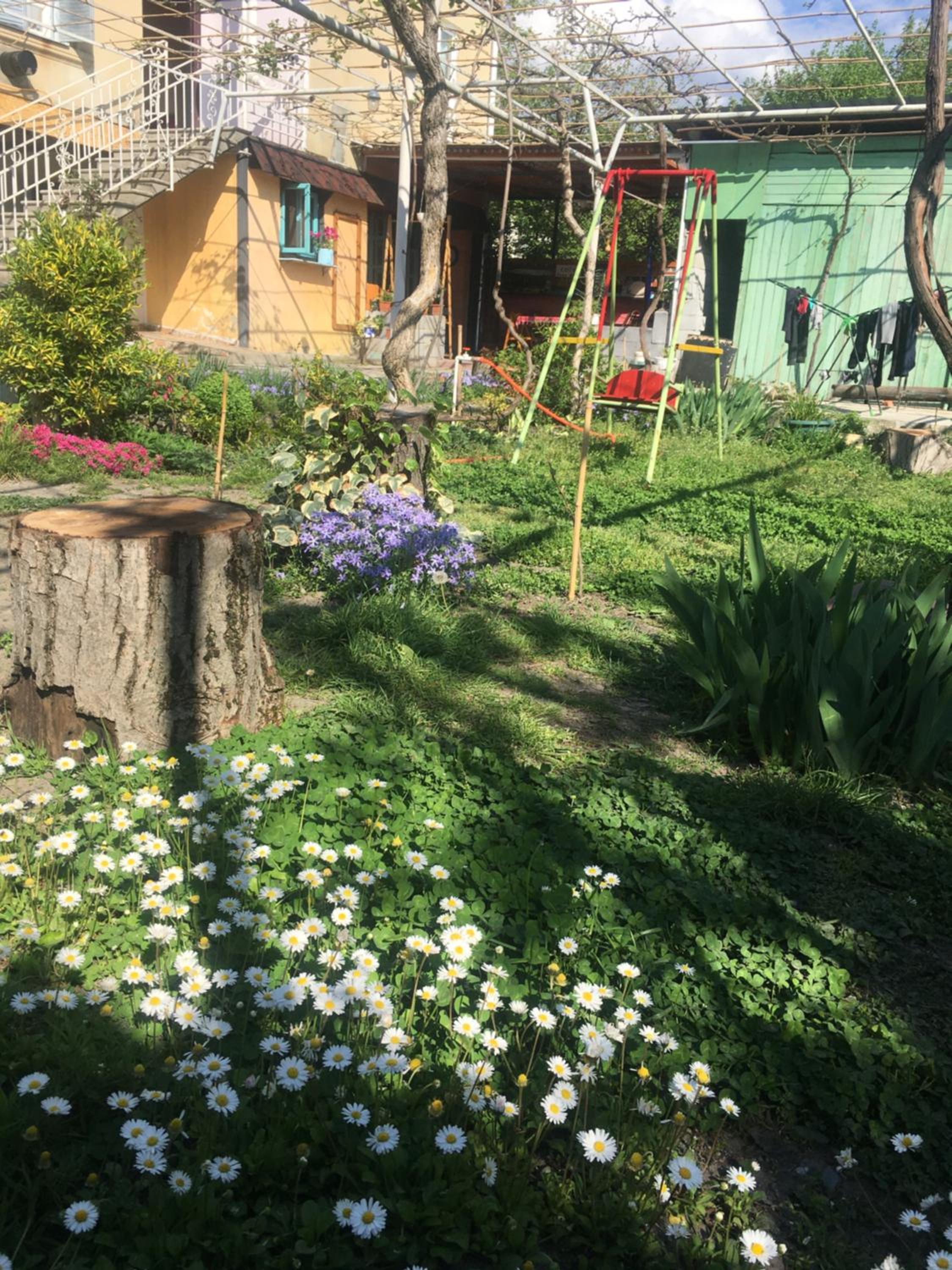 Photo 24