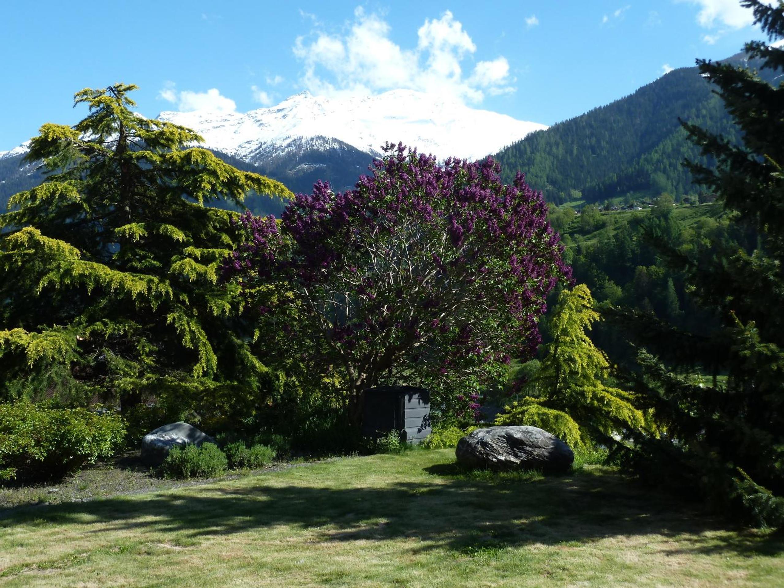 Matapouri