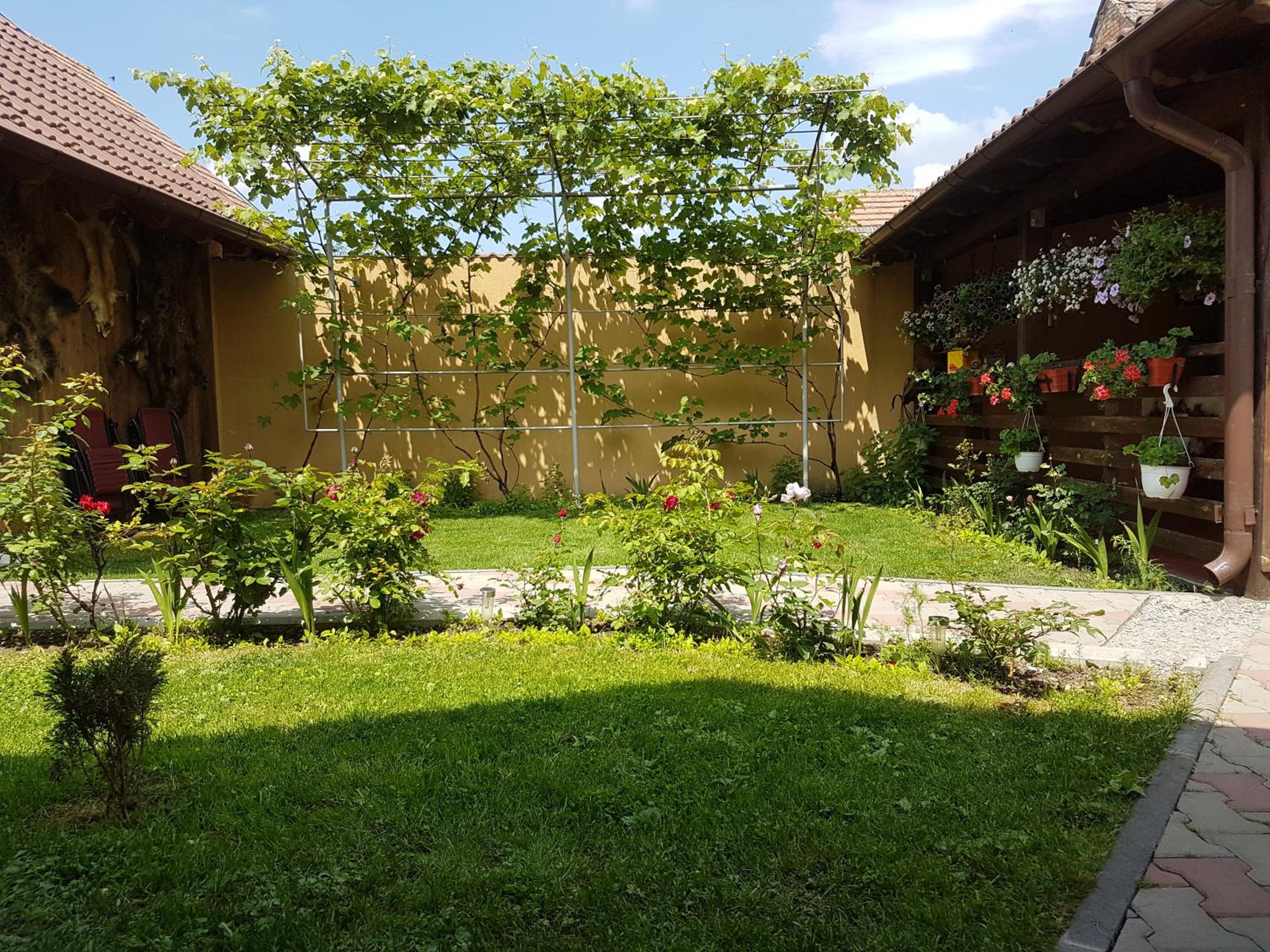 Photo 17