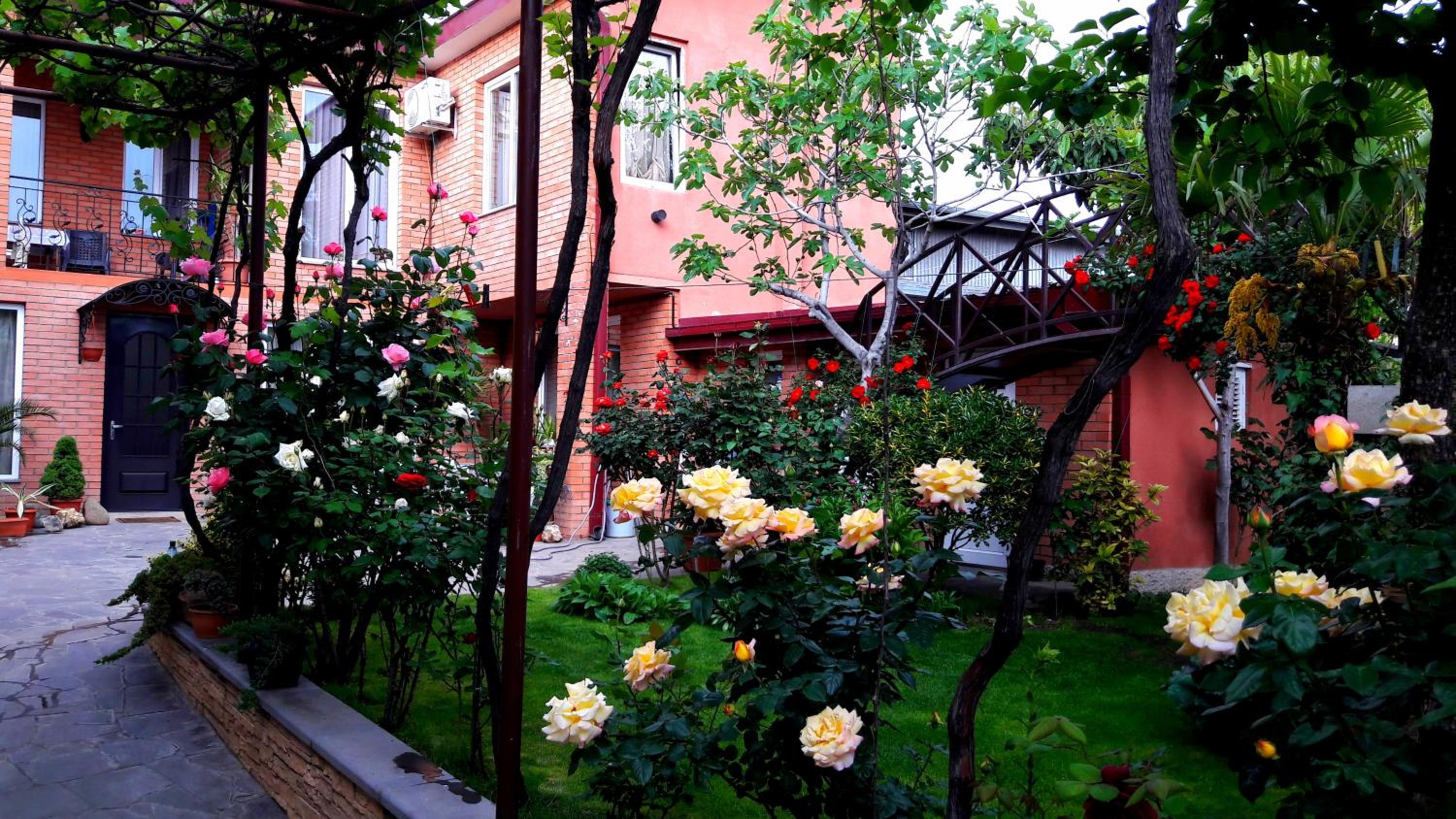 Photo 41