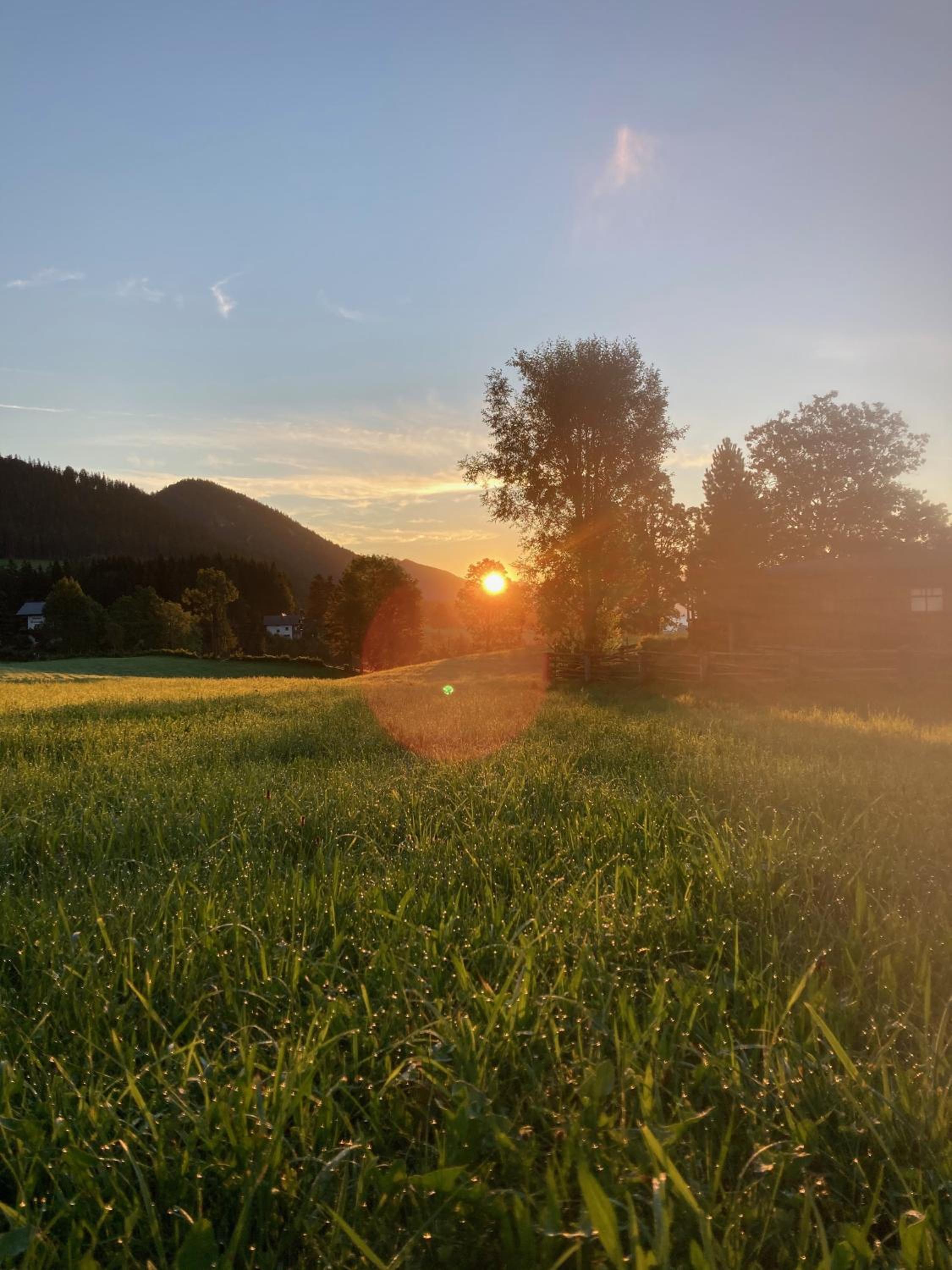 Haslehnerhof
