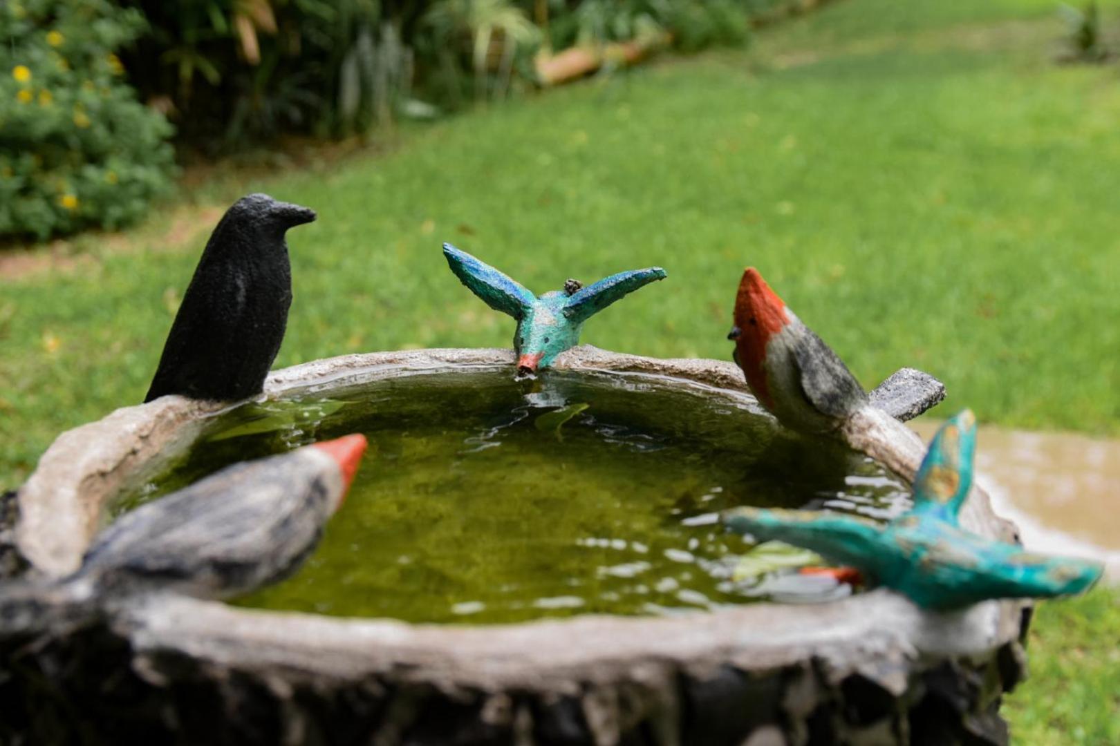 Casa Calma Hotel