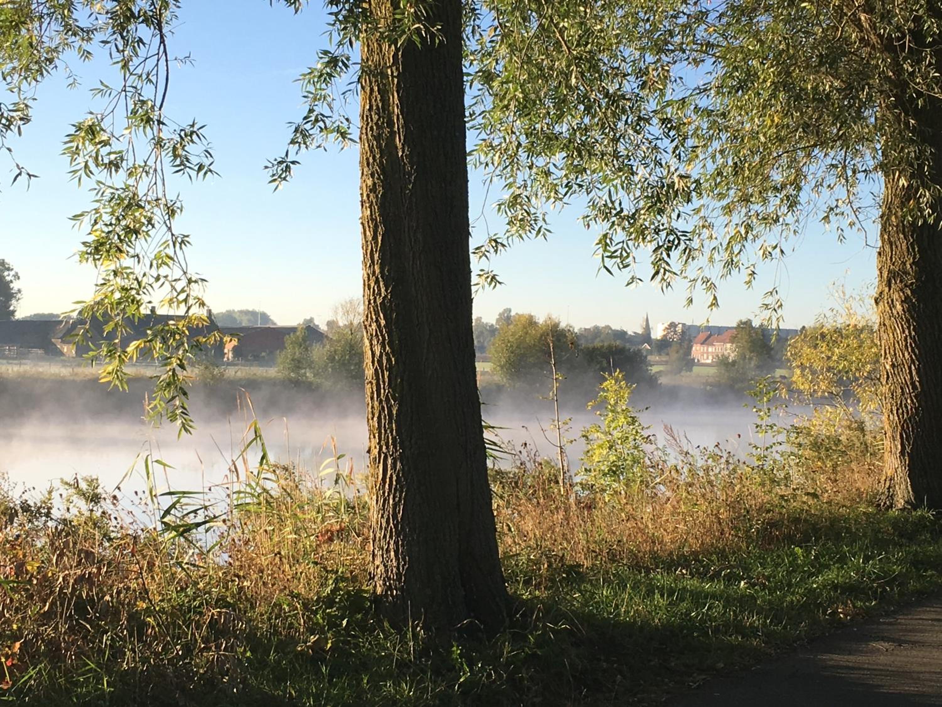 B&B The View Bis